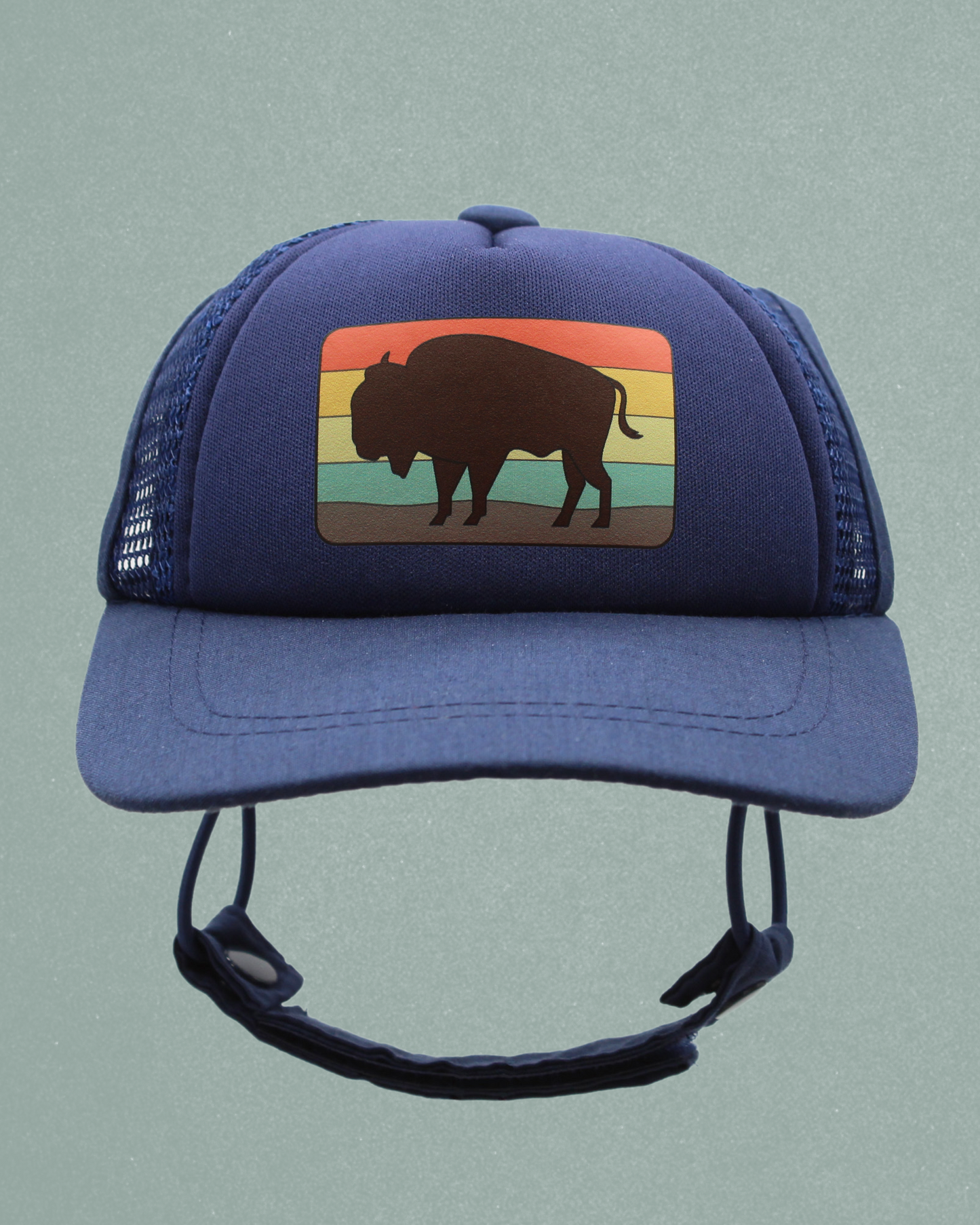 bison