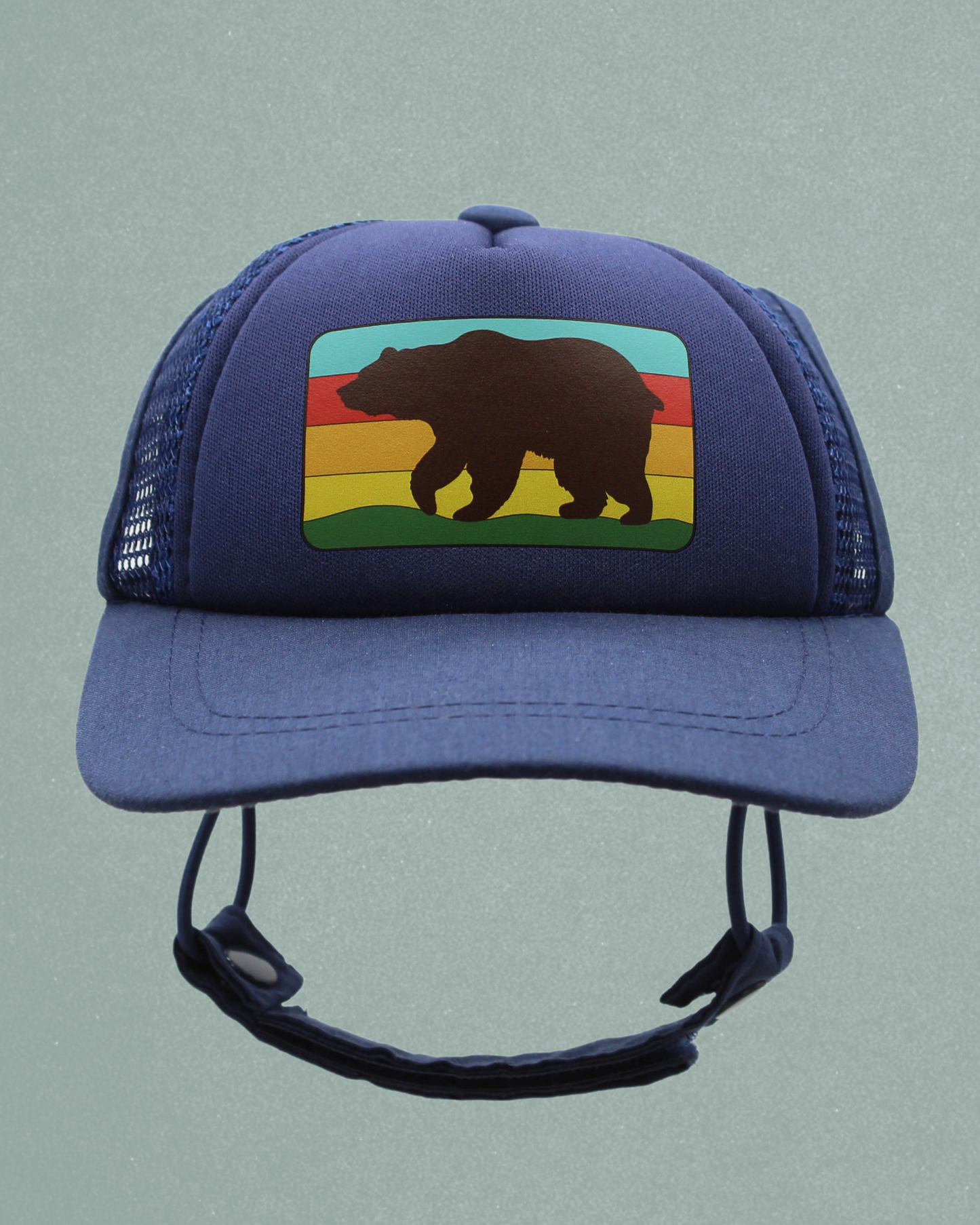 bear