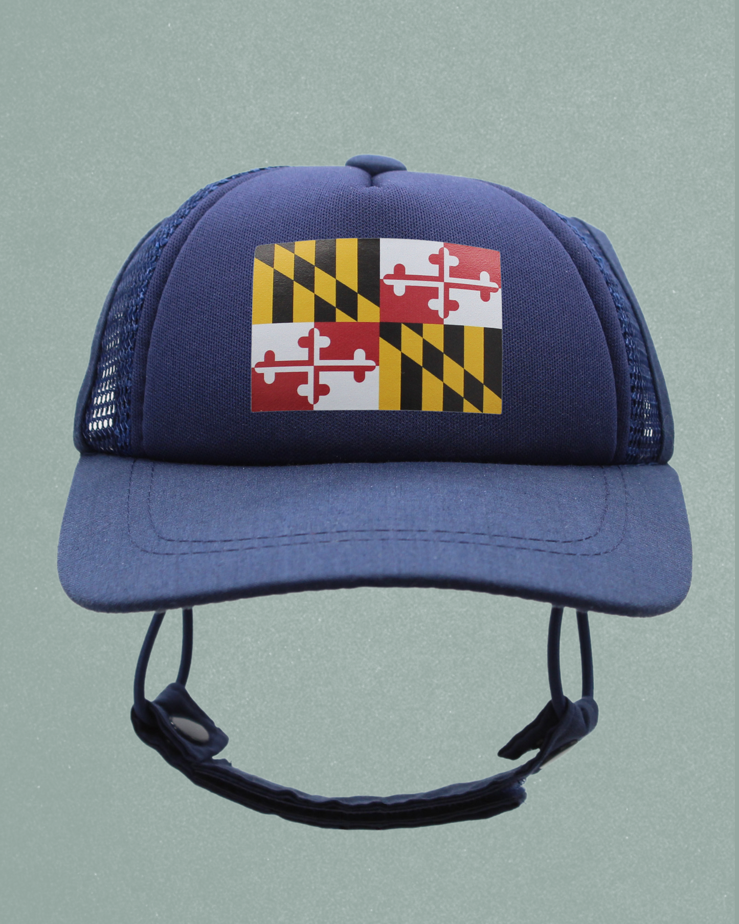 maryland flag