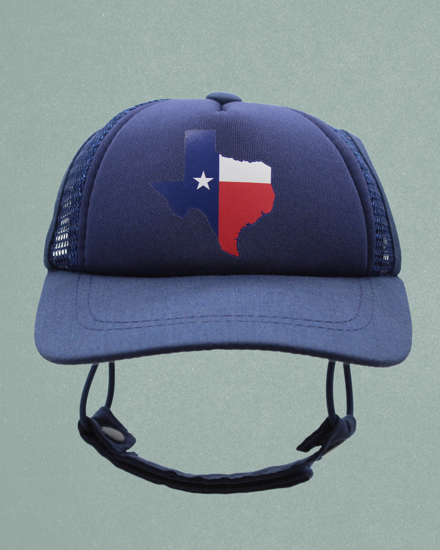 texas flag