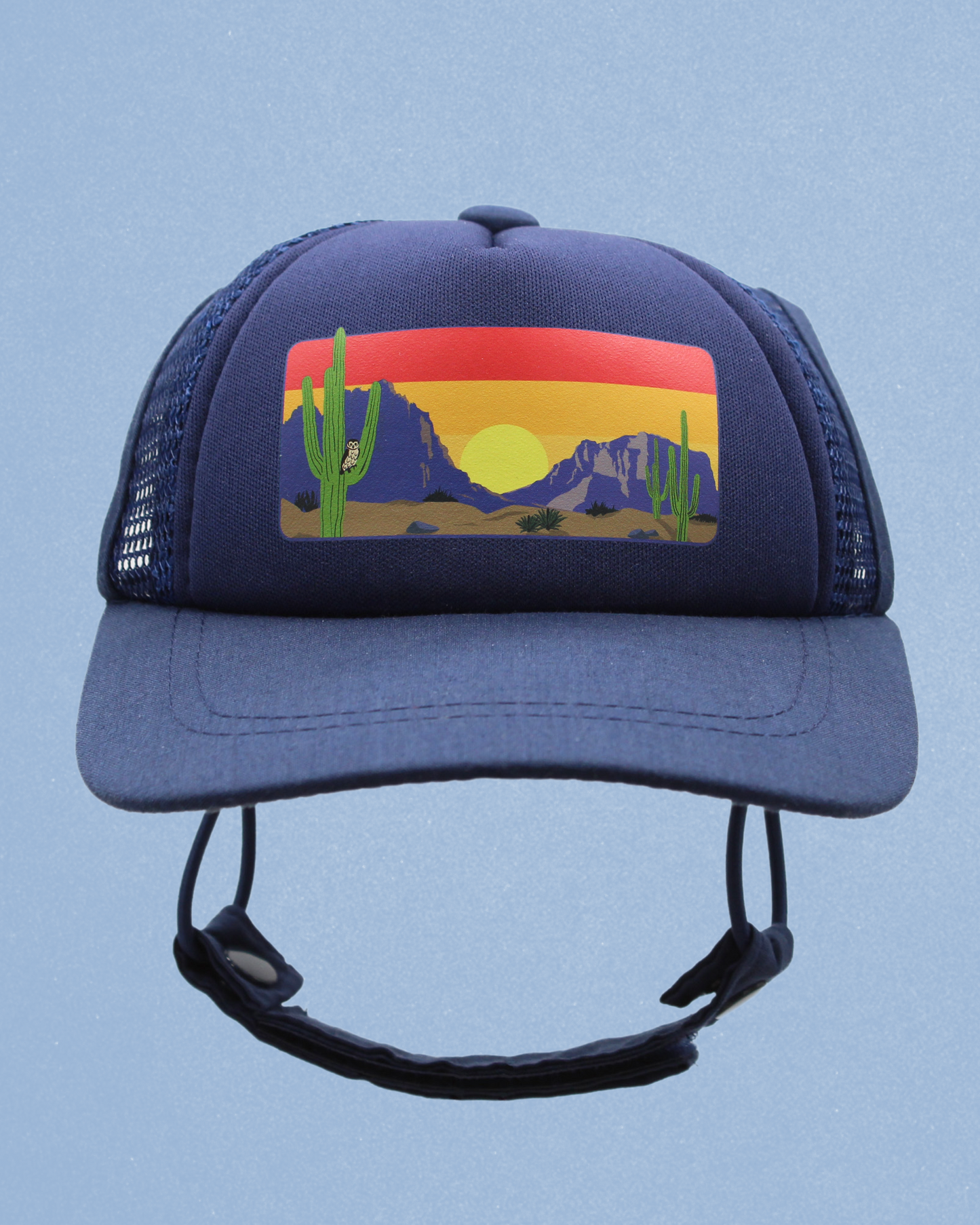 desert owl cat hat