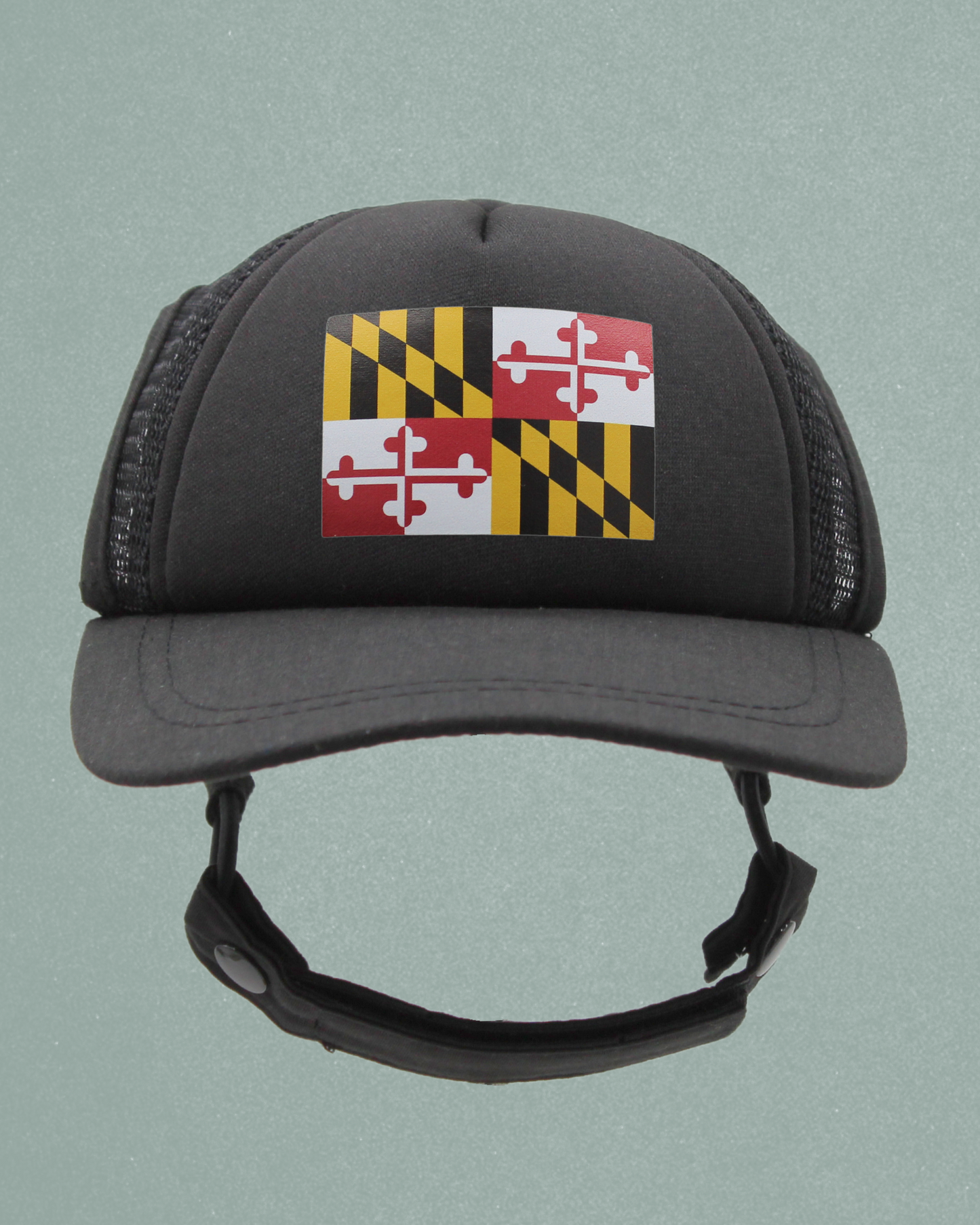 maryland flag