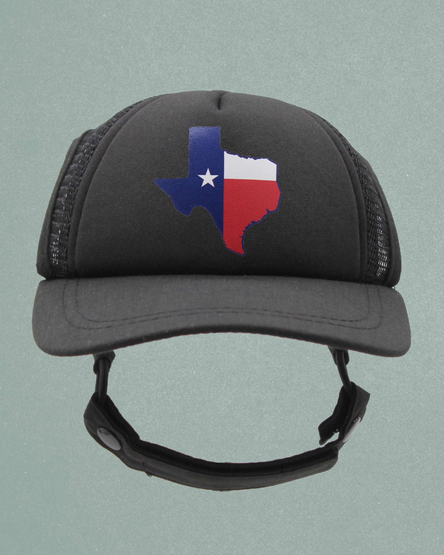 texas flag