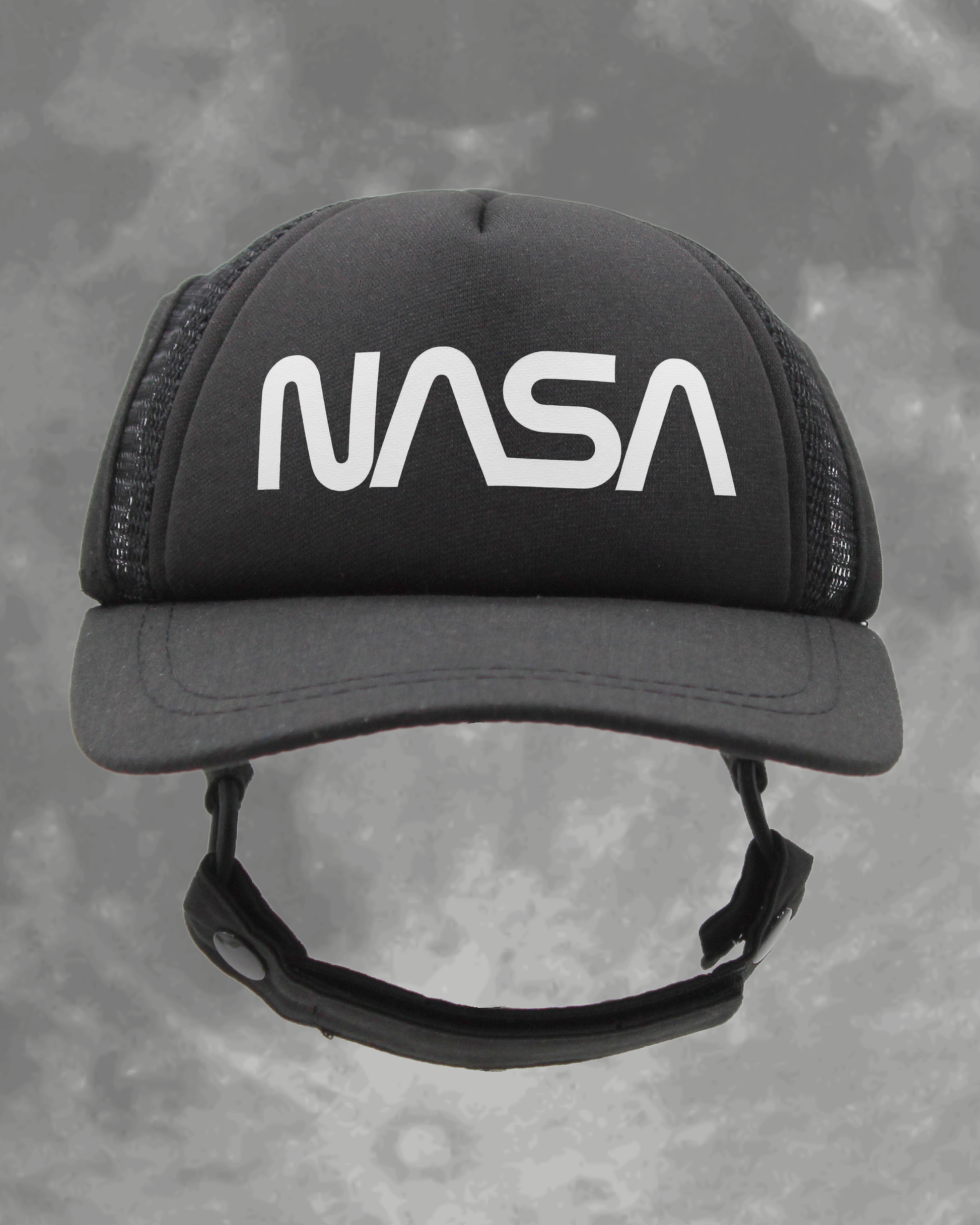 NASA worm