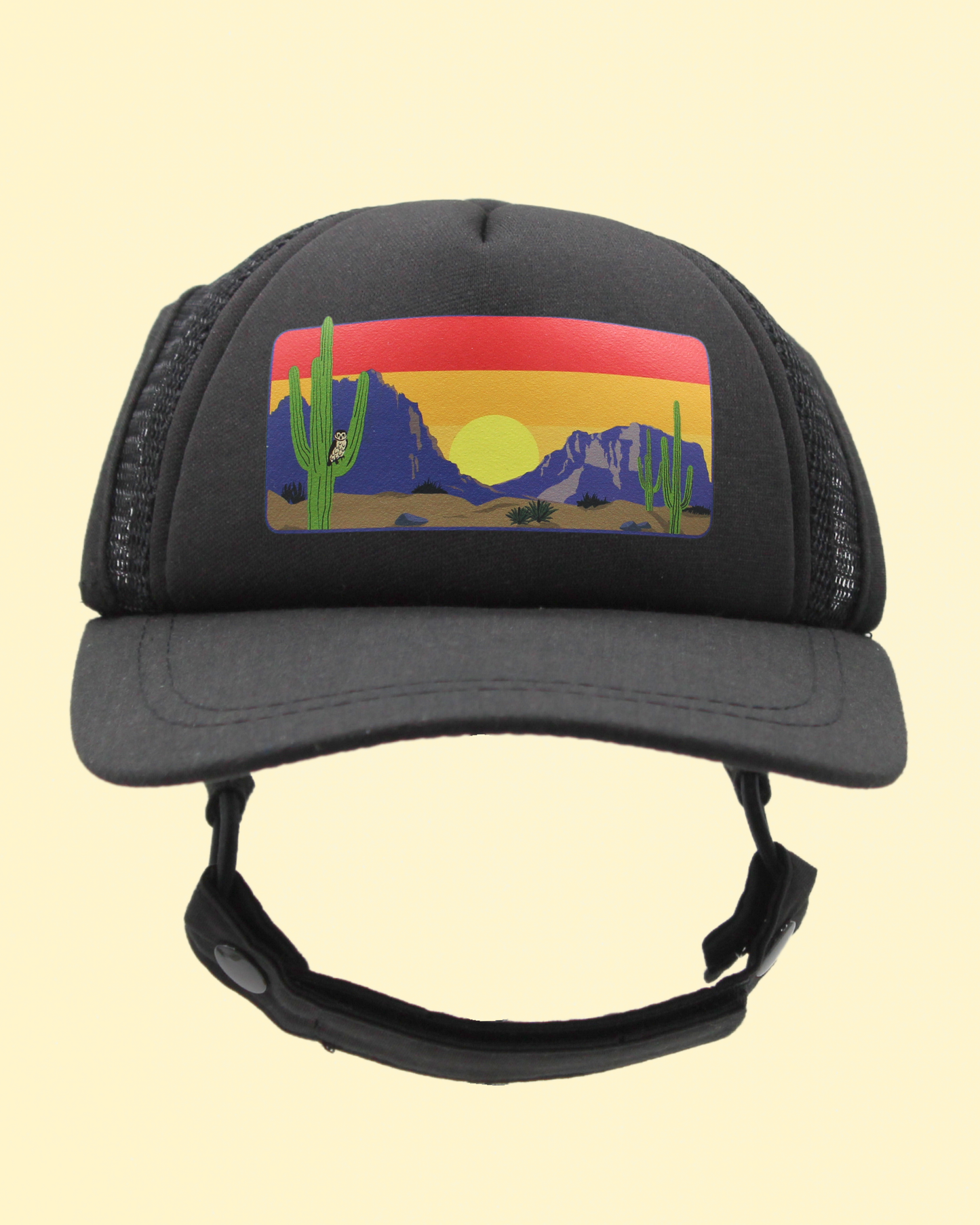 desert owl cat hat