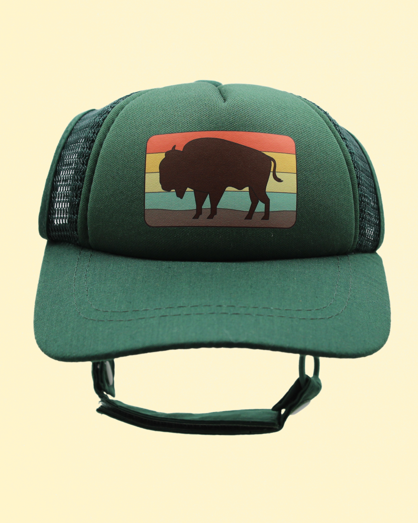 bison
