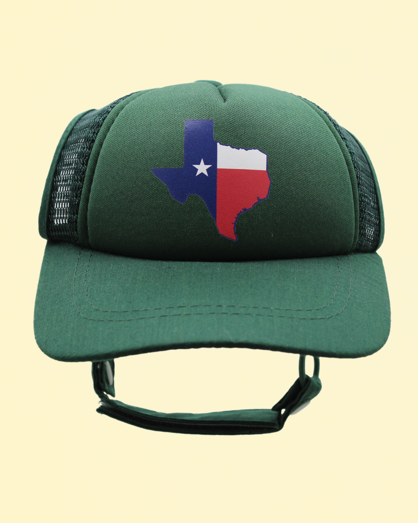 texas flag