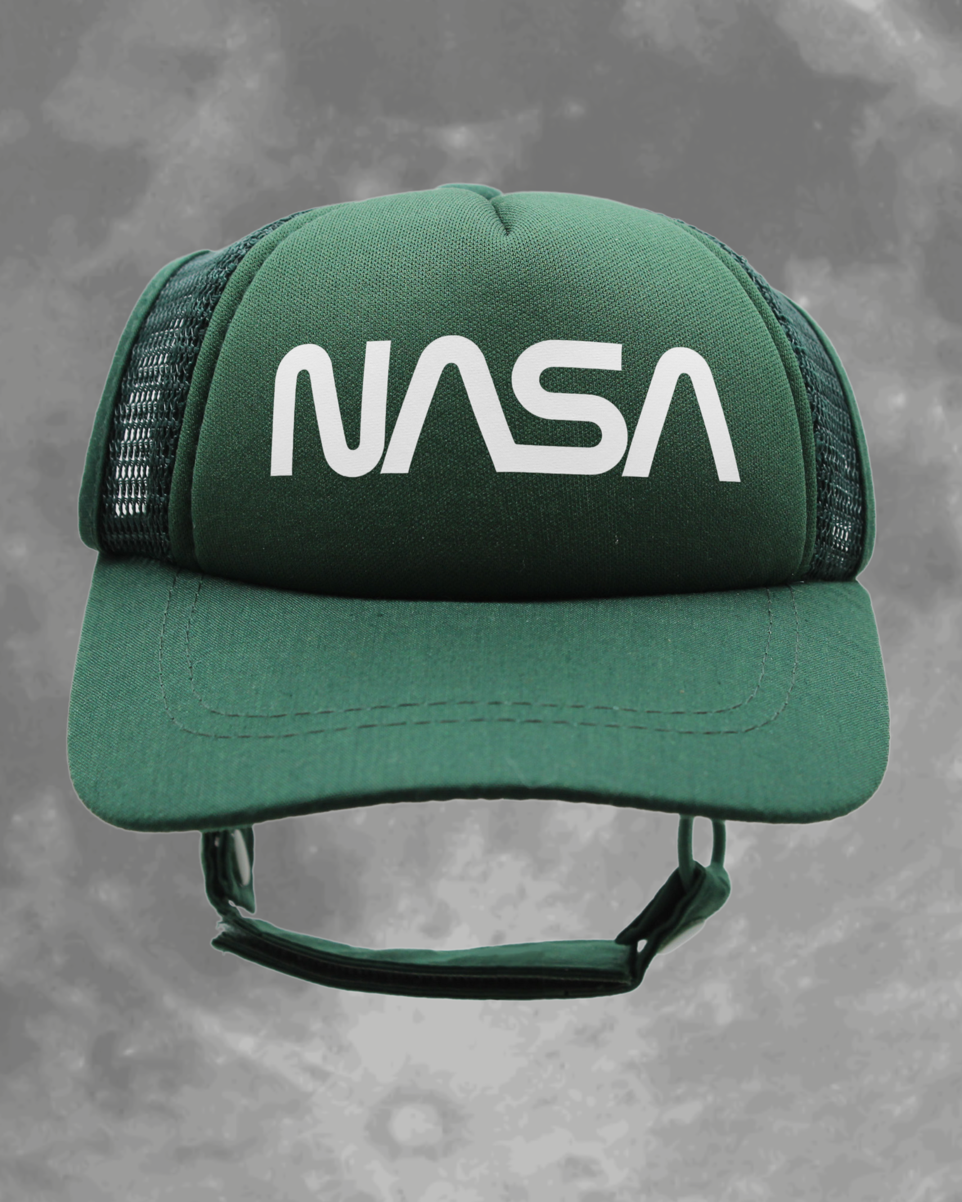 NASA worm