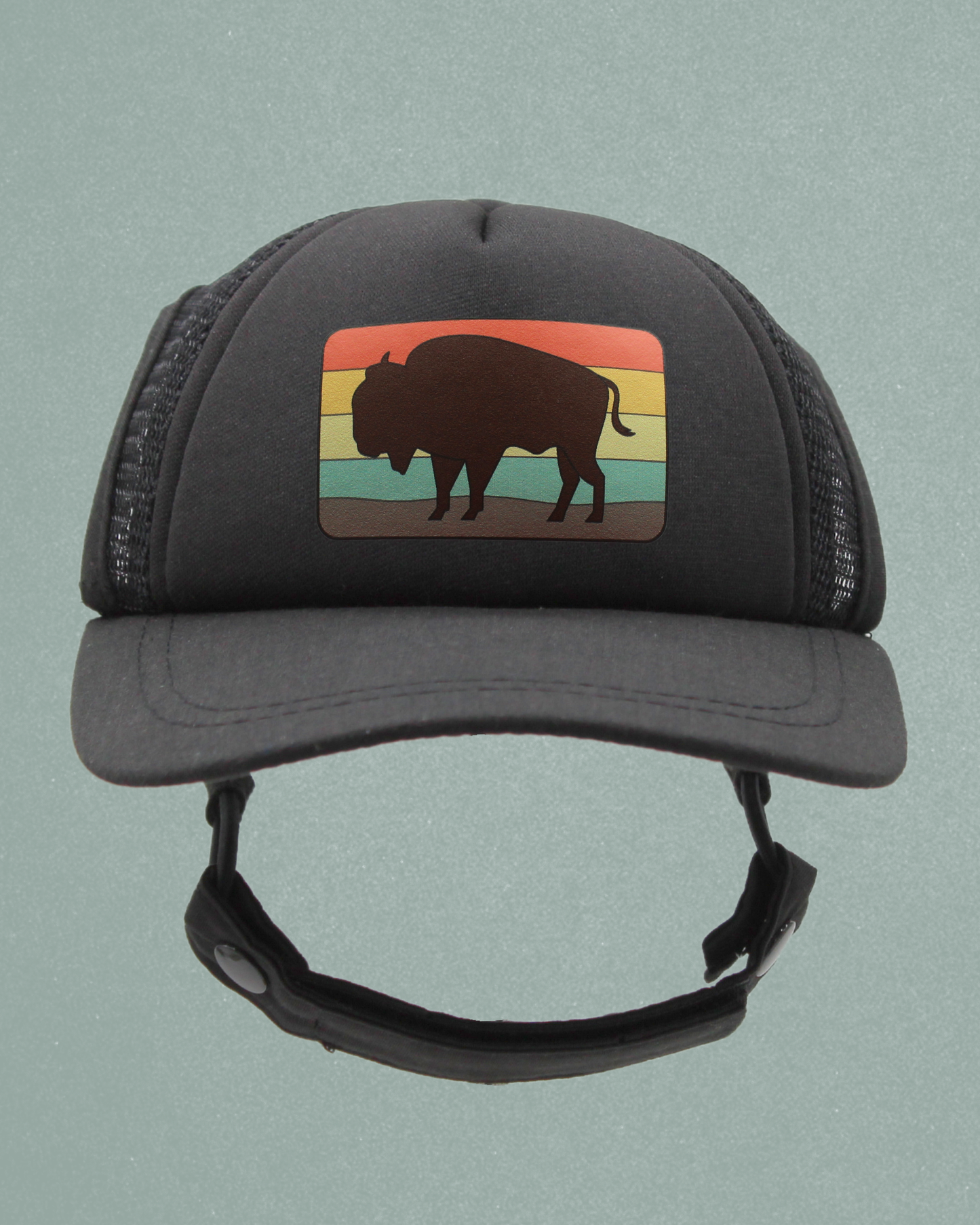bison