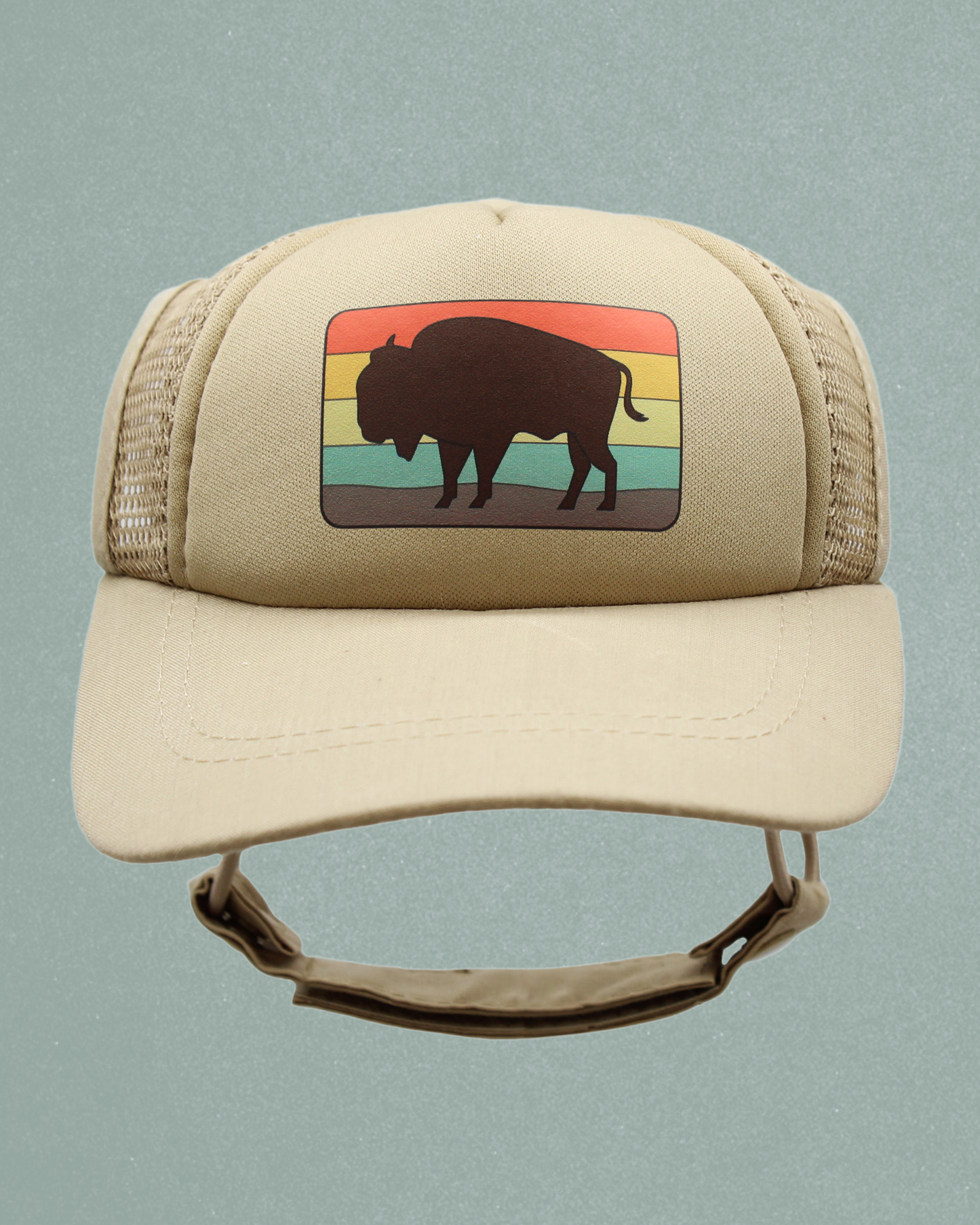 bison