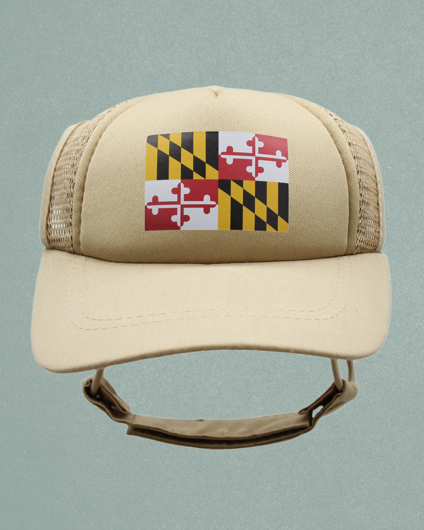maryland flag