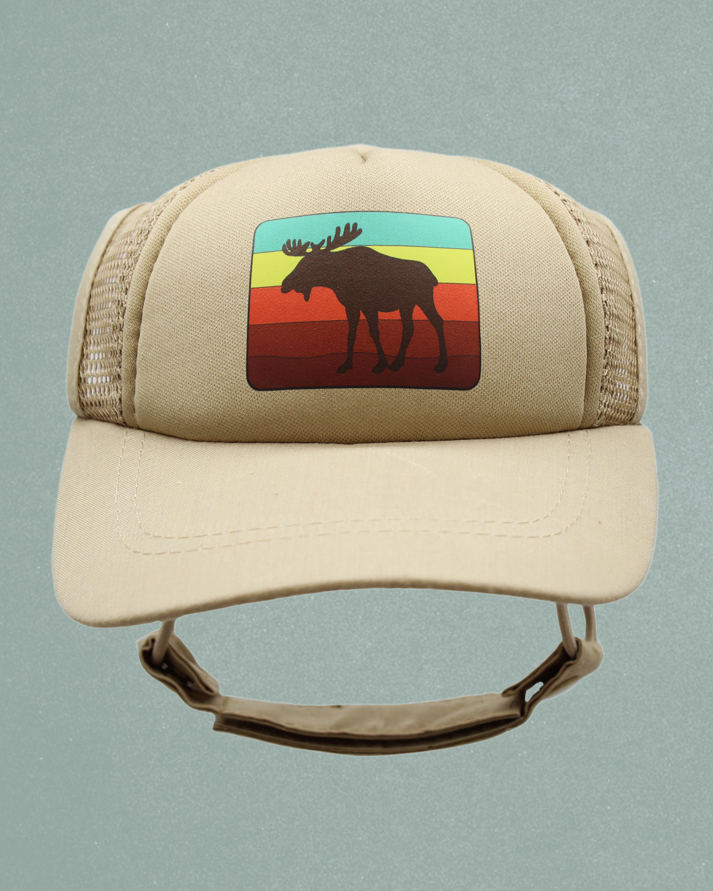 moose