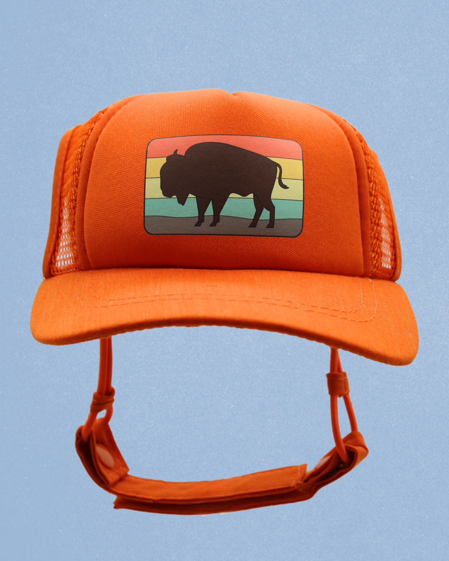 bison
