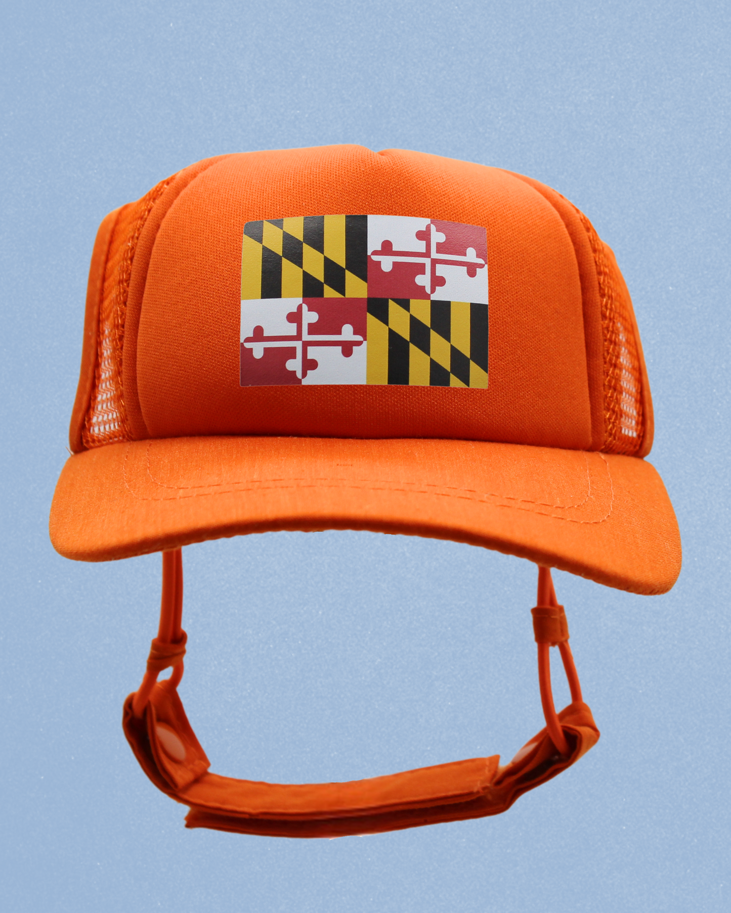 maryland flag