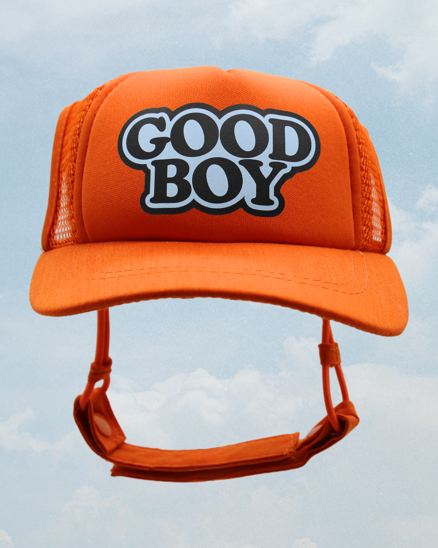 good boy classic text
