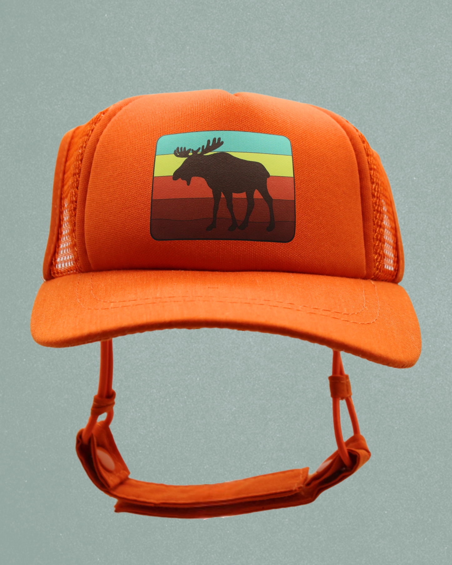 moose