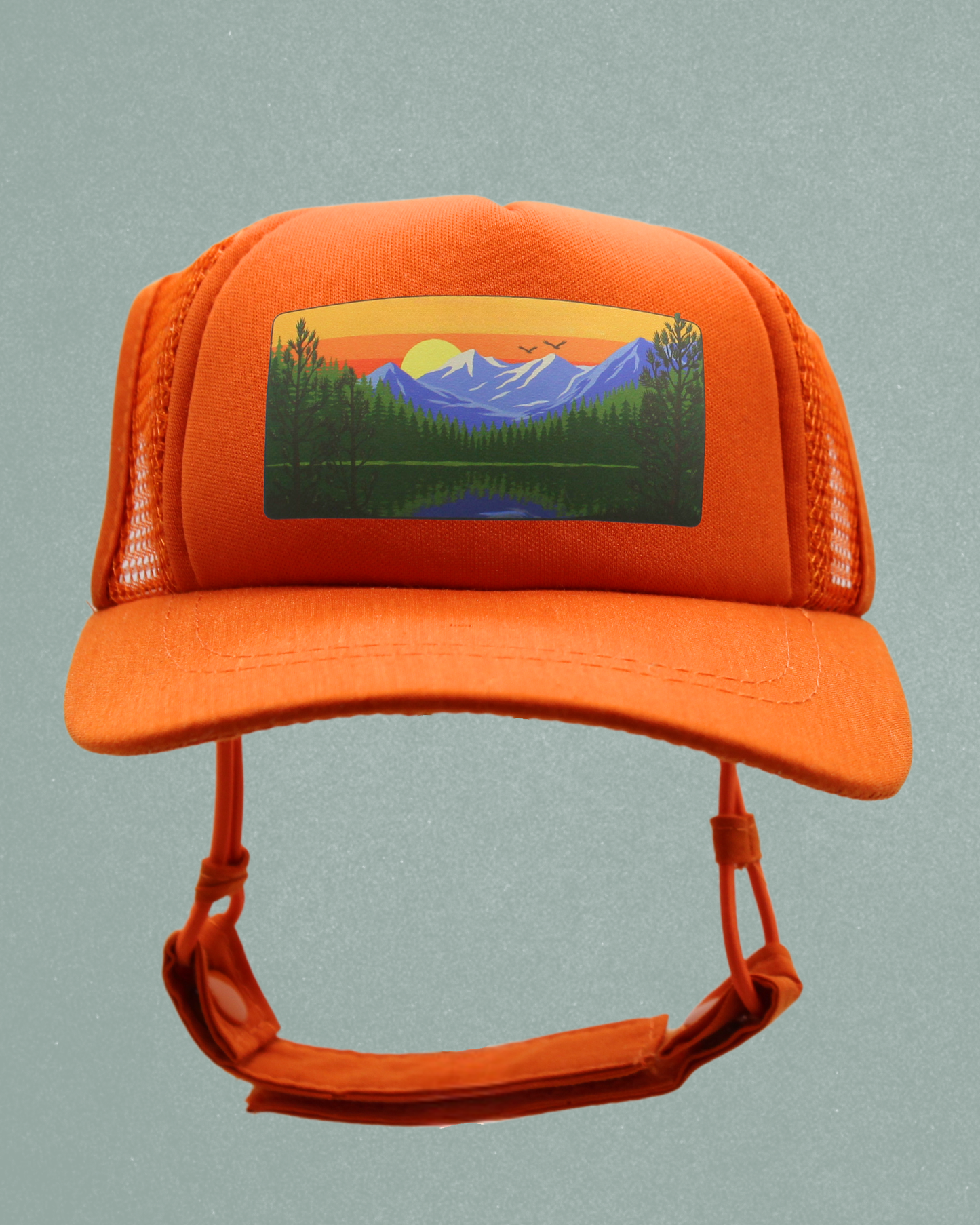 mountain lake cat hat