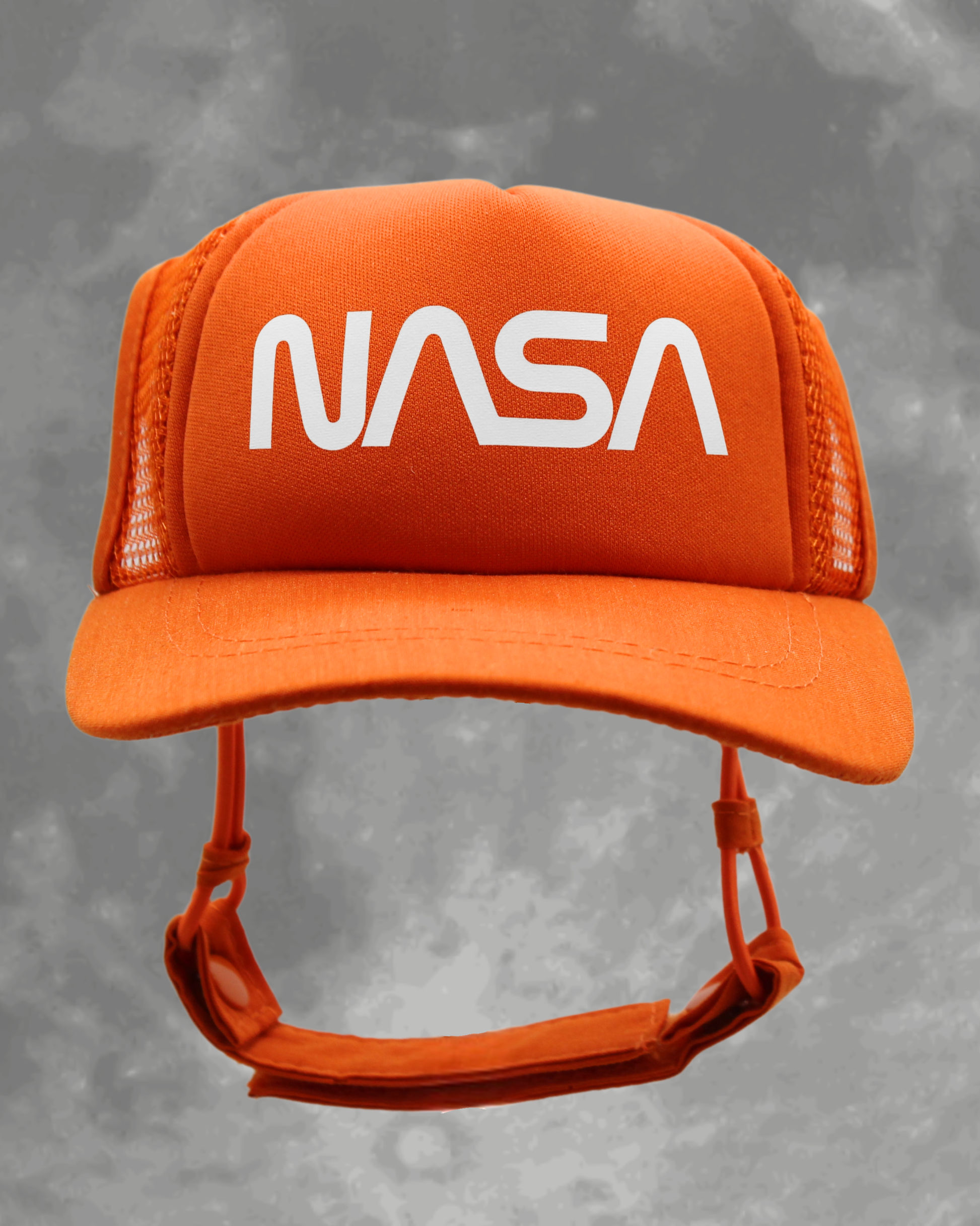 NASA worm
