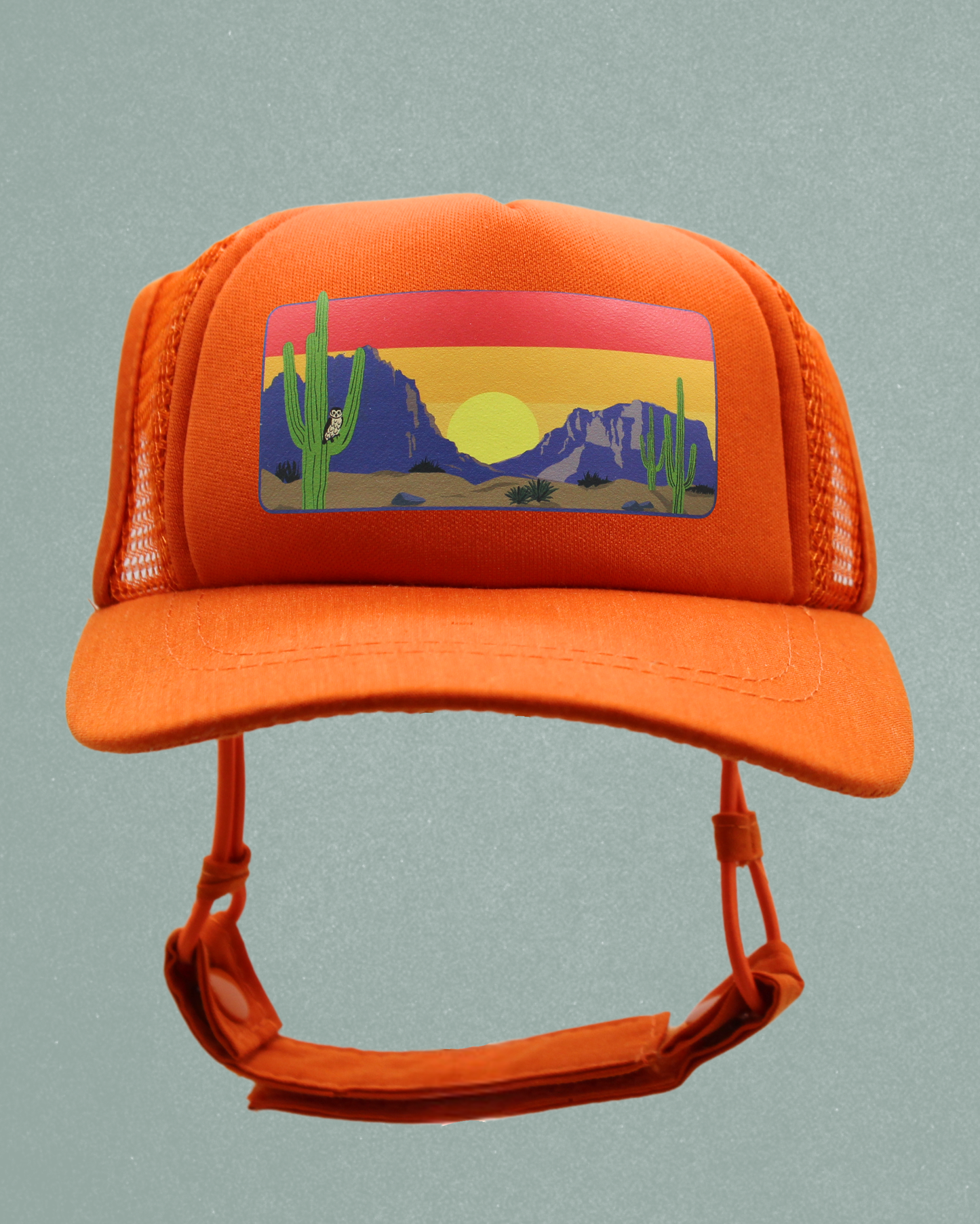 desert owl cat hat