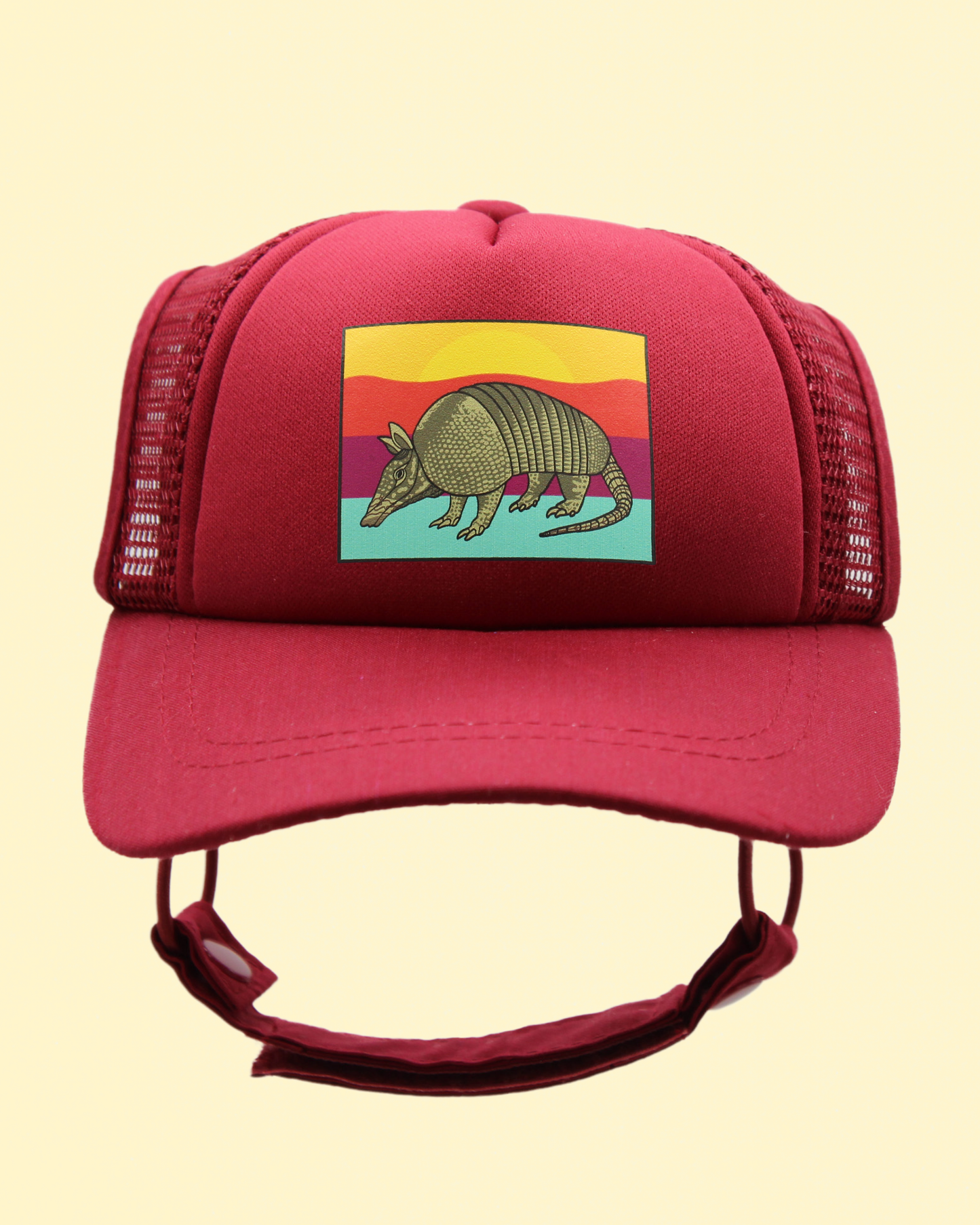 armadillo