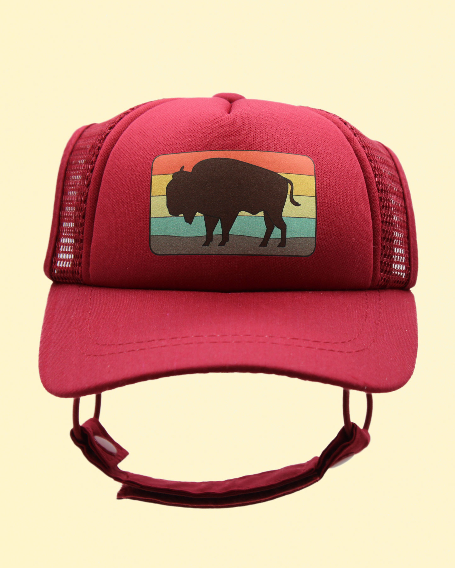 bison