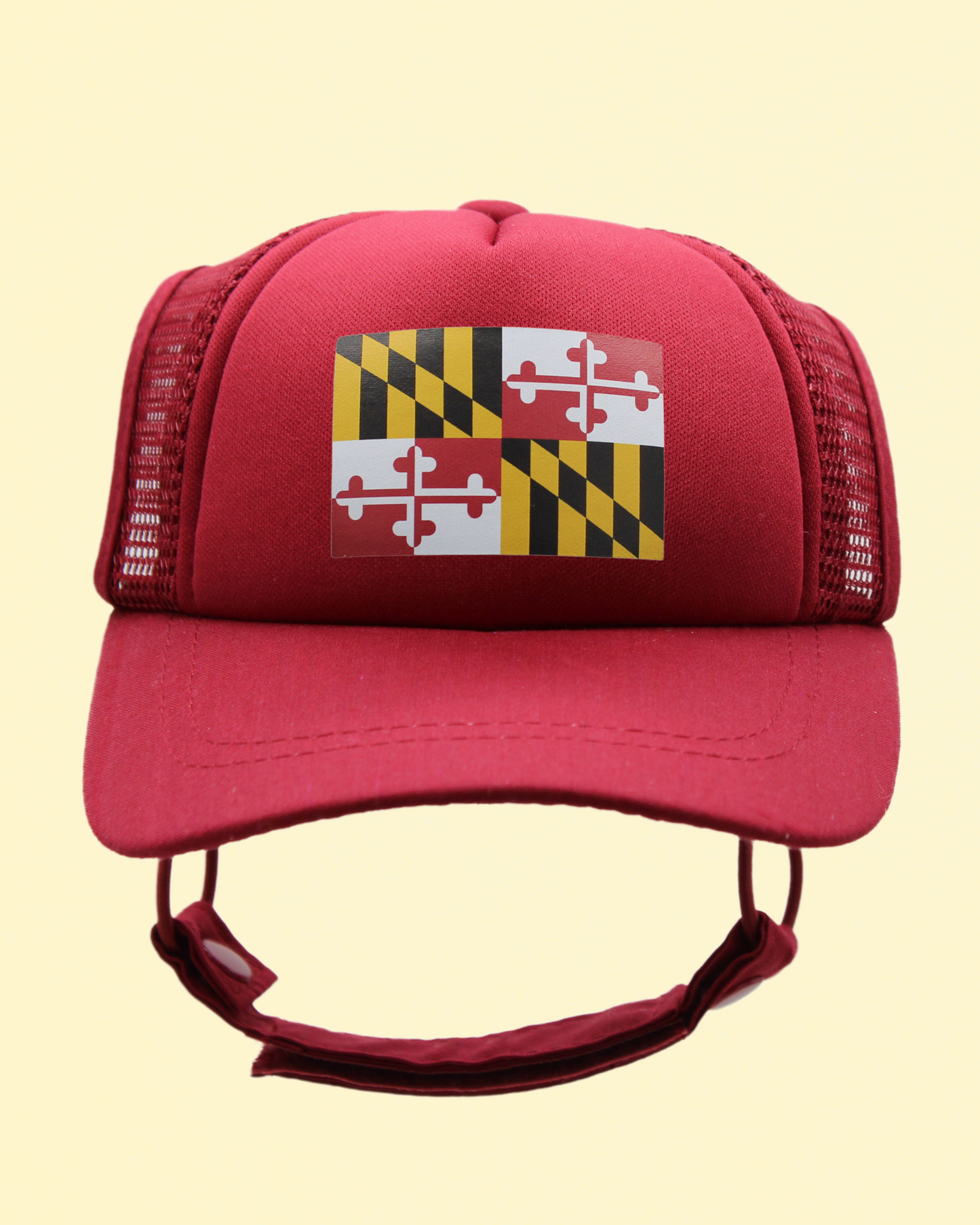 maryland flag