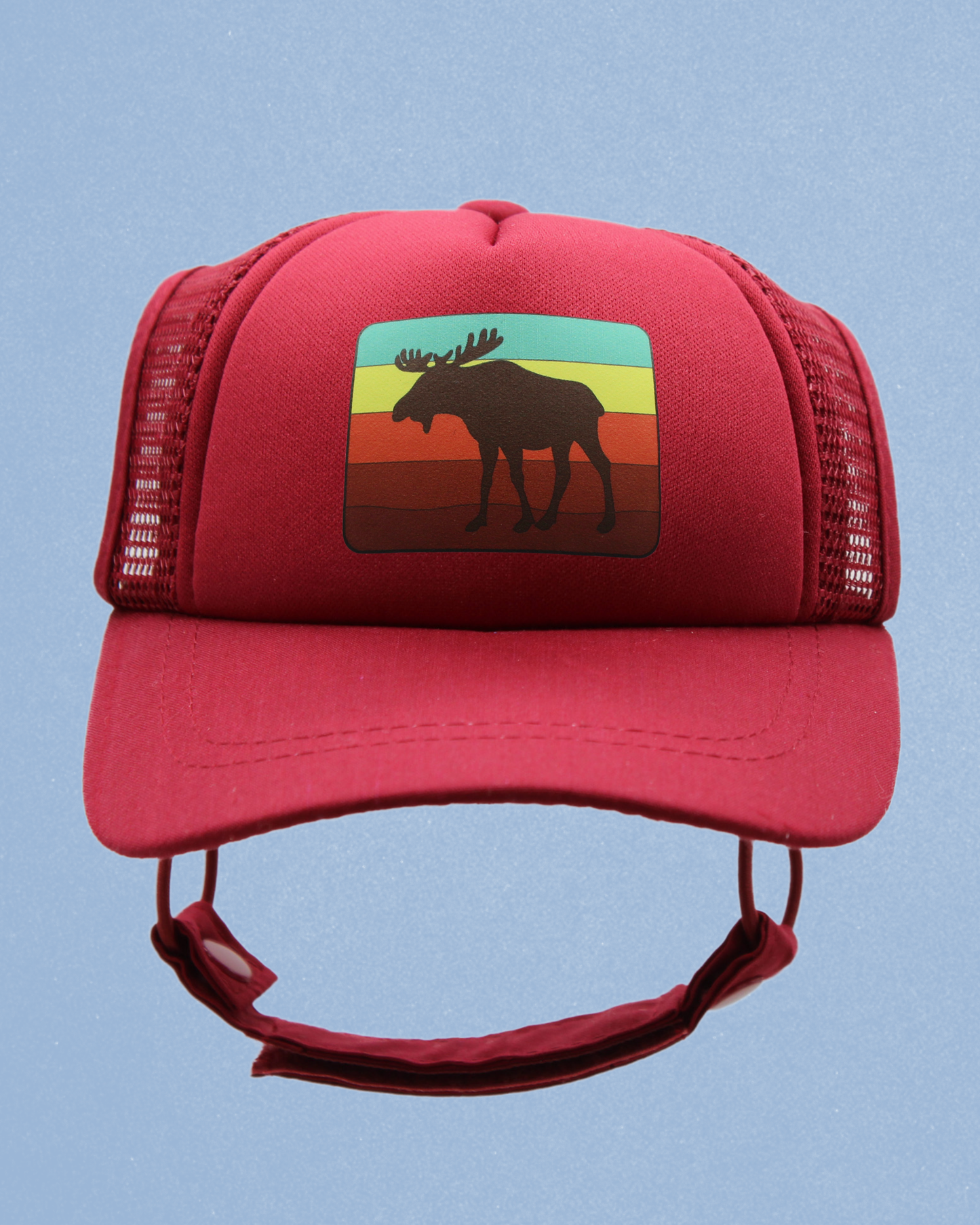 moose