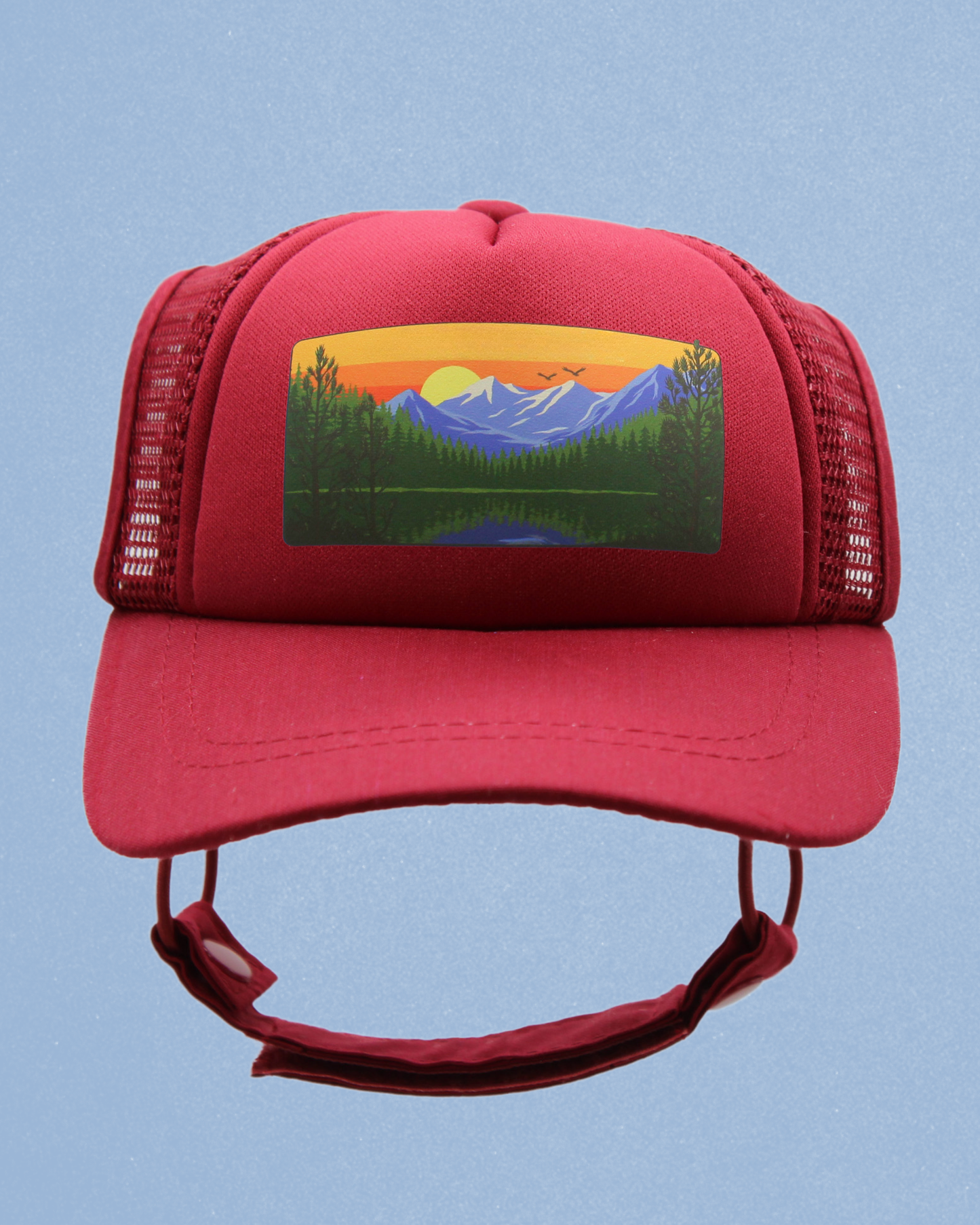 mountain lake cat hat