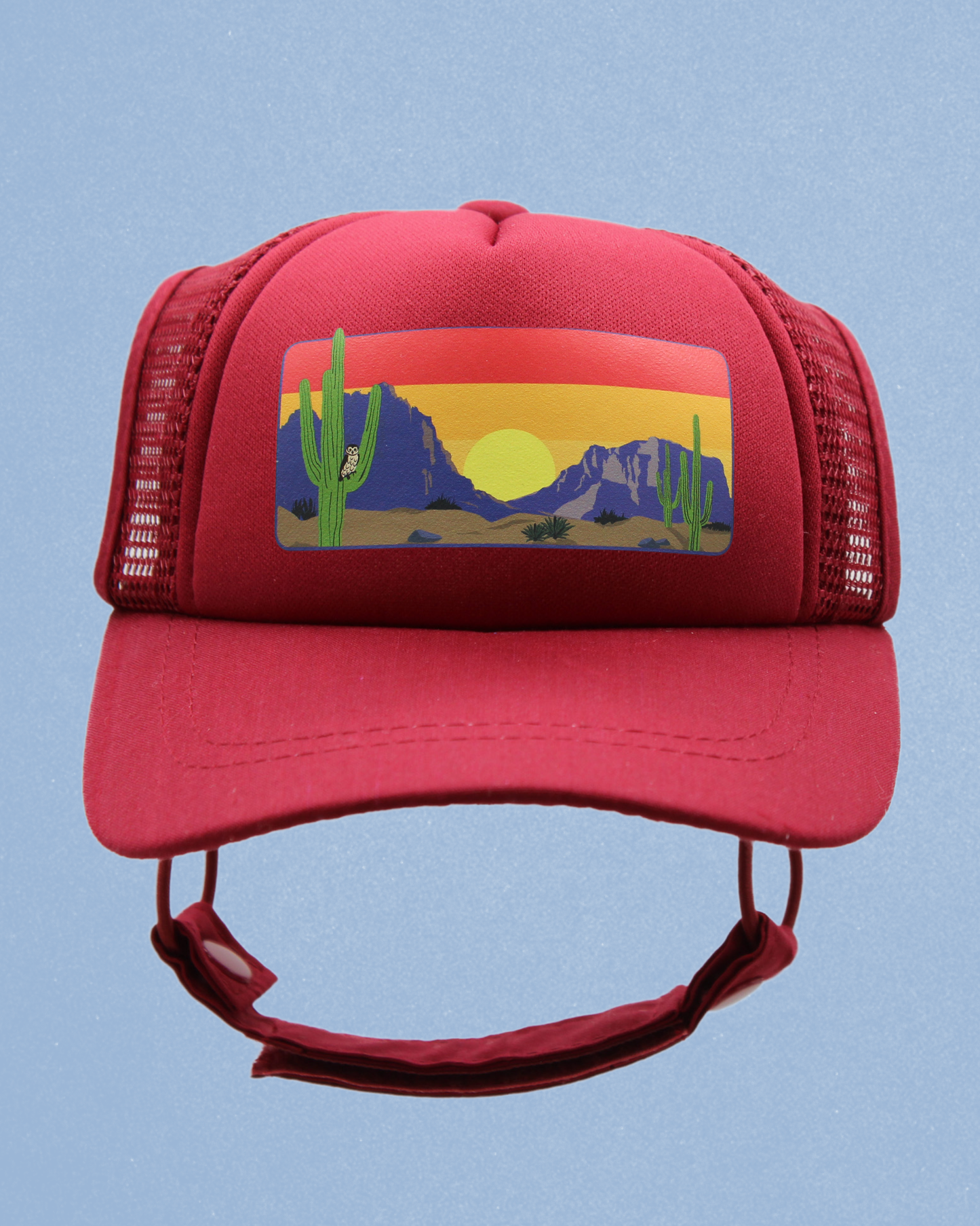 desert owl cat hat