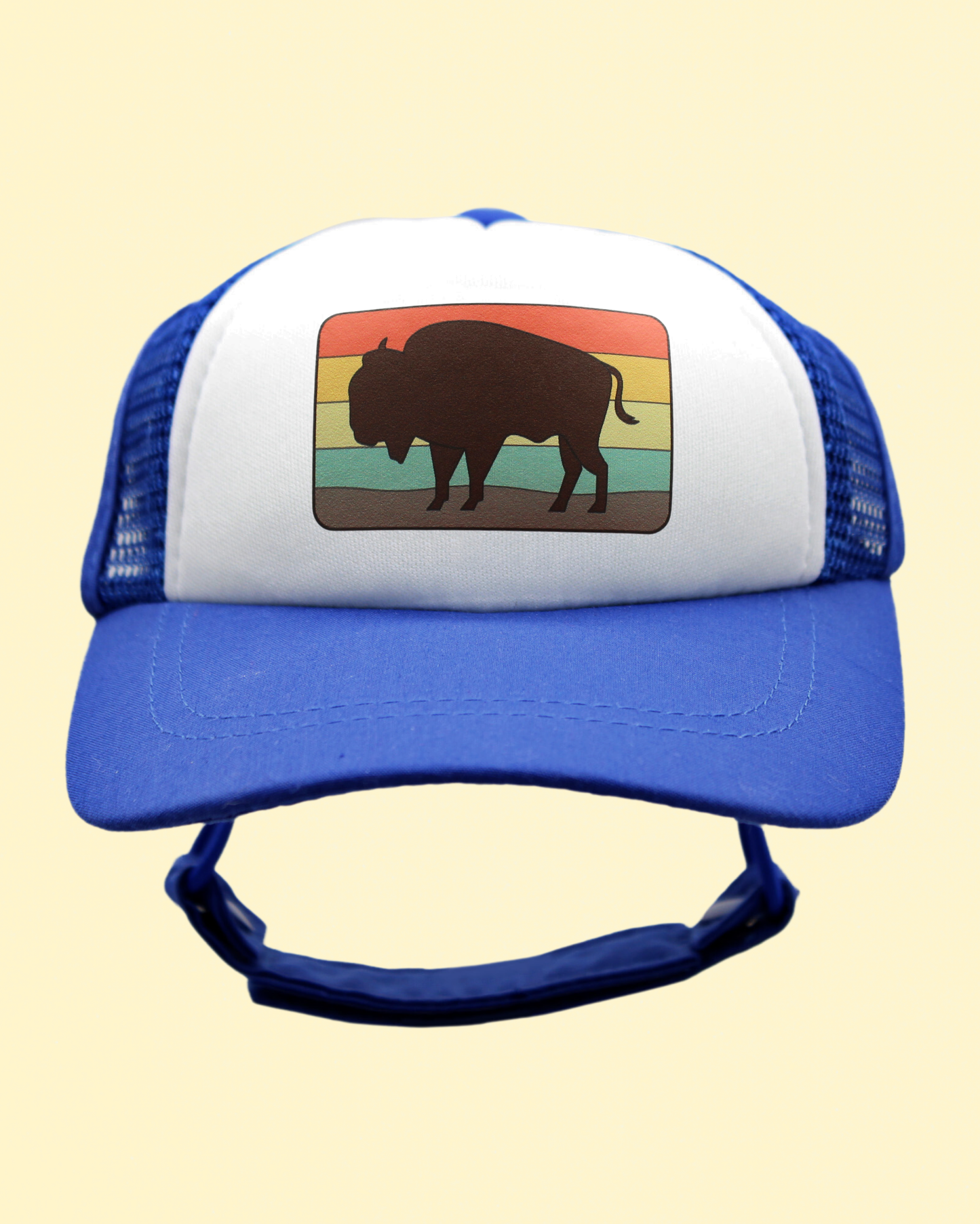 bison
