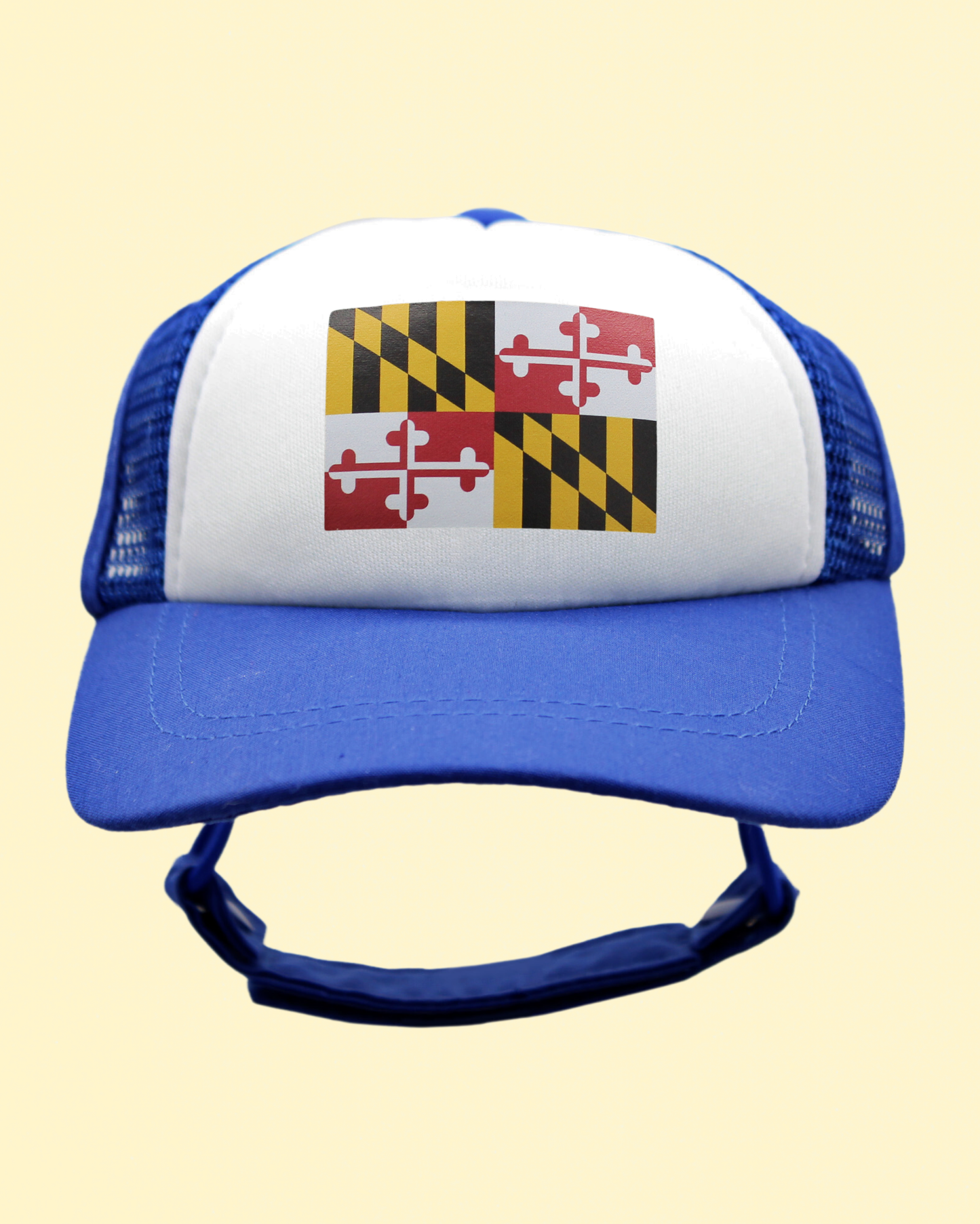 maryland flag
