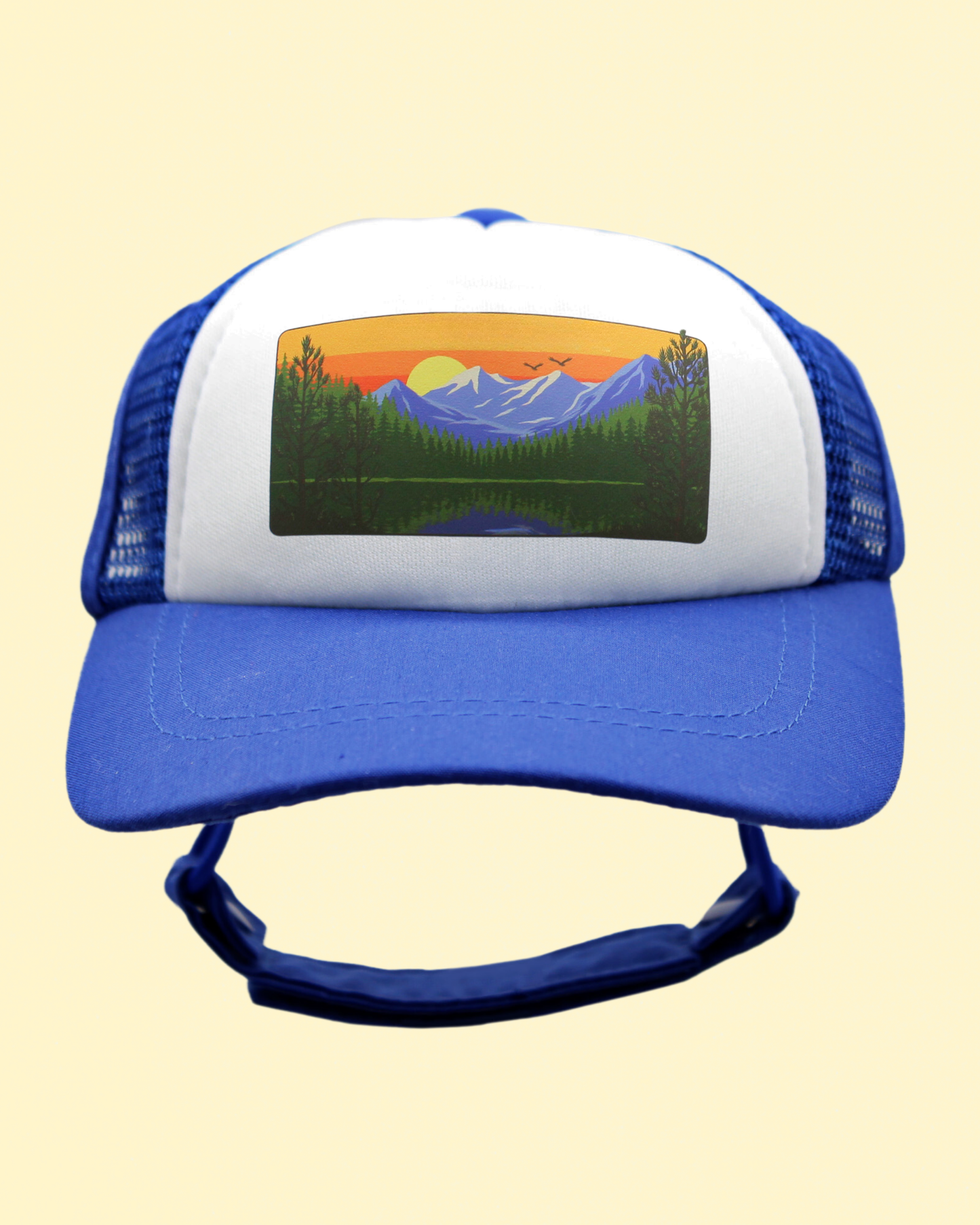 mountain lake cat hat