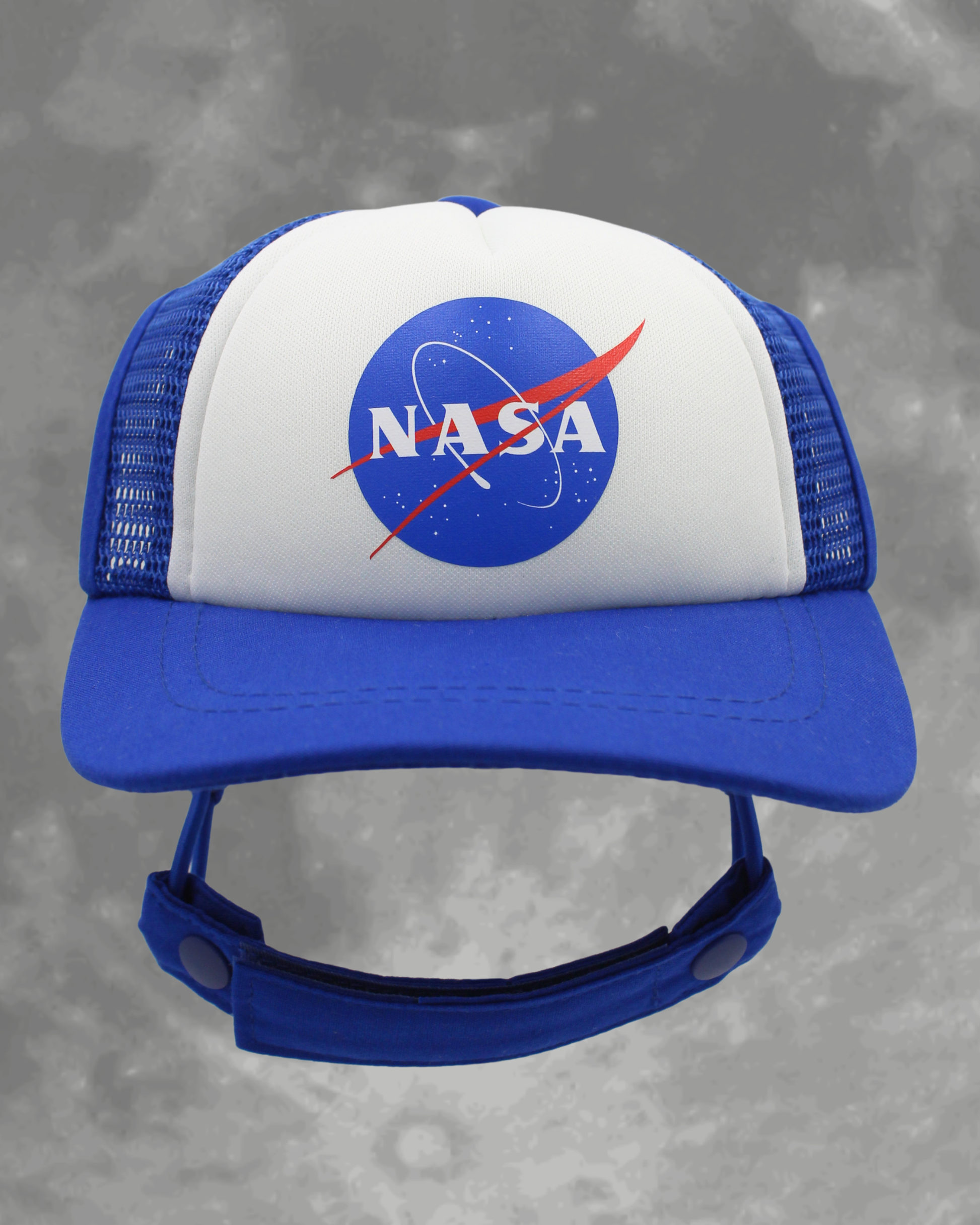 NASA meatball