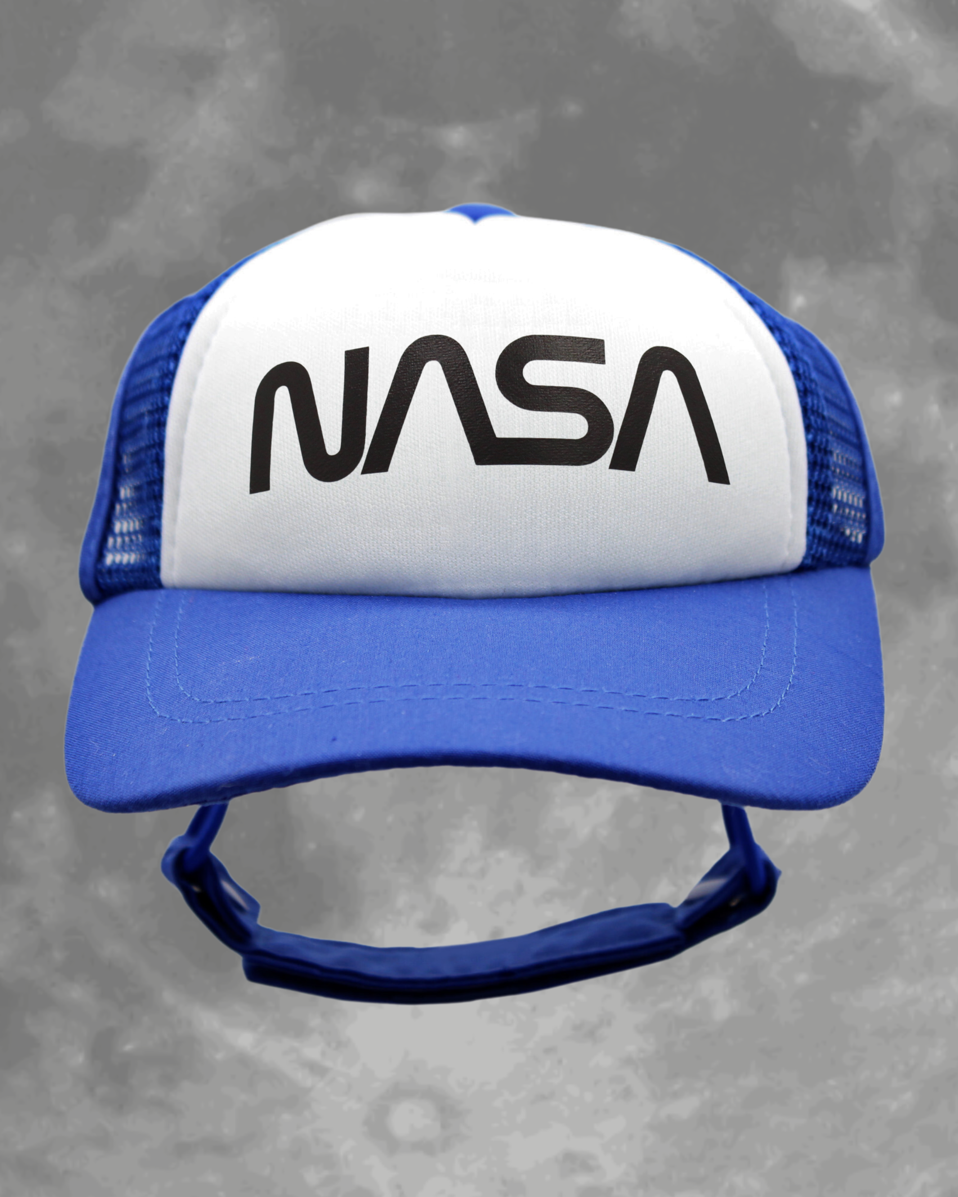 NASA worm