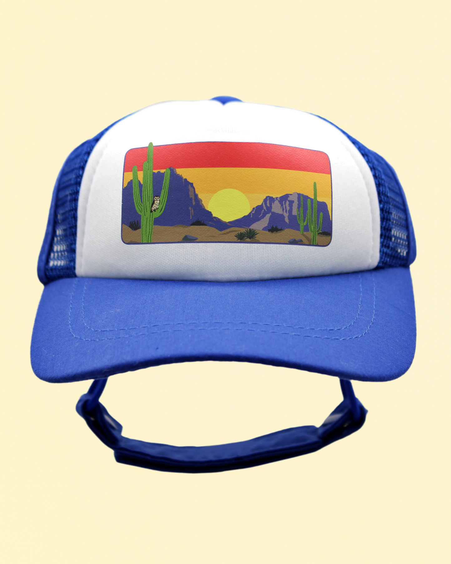 desert owl cat hat