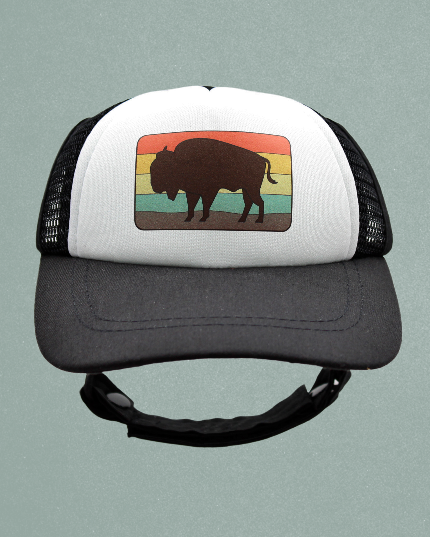 bison