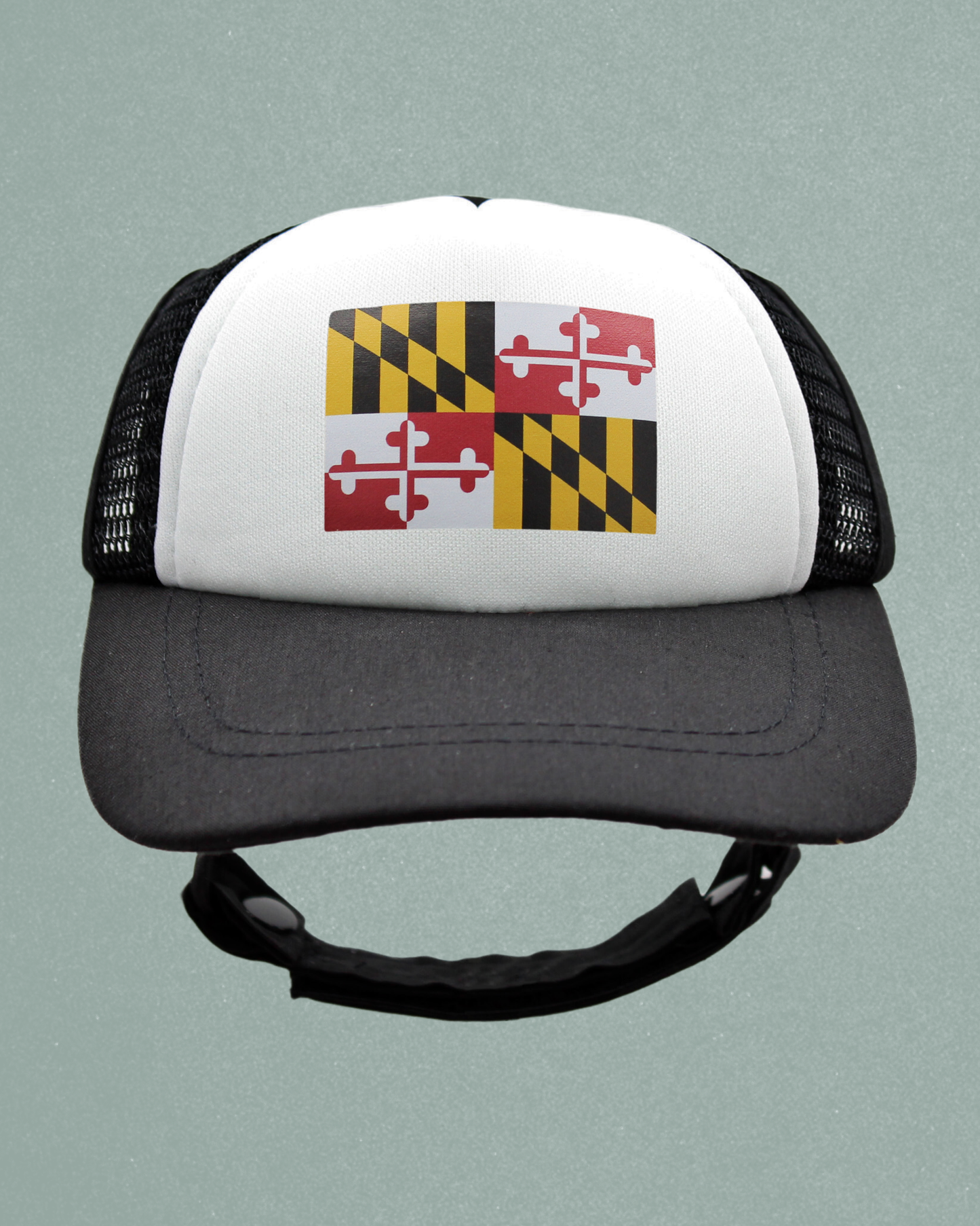 maryland flag
