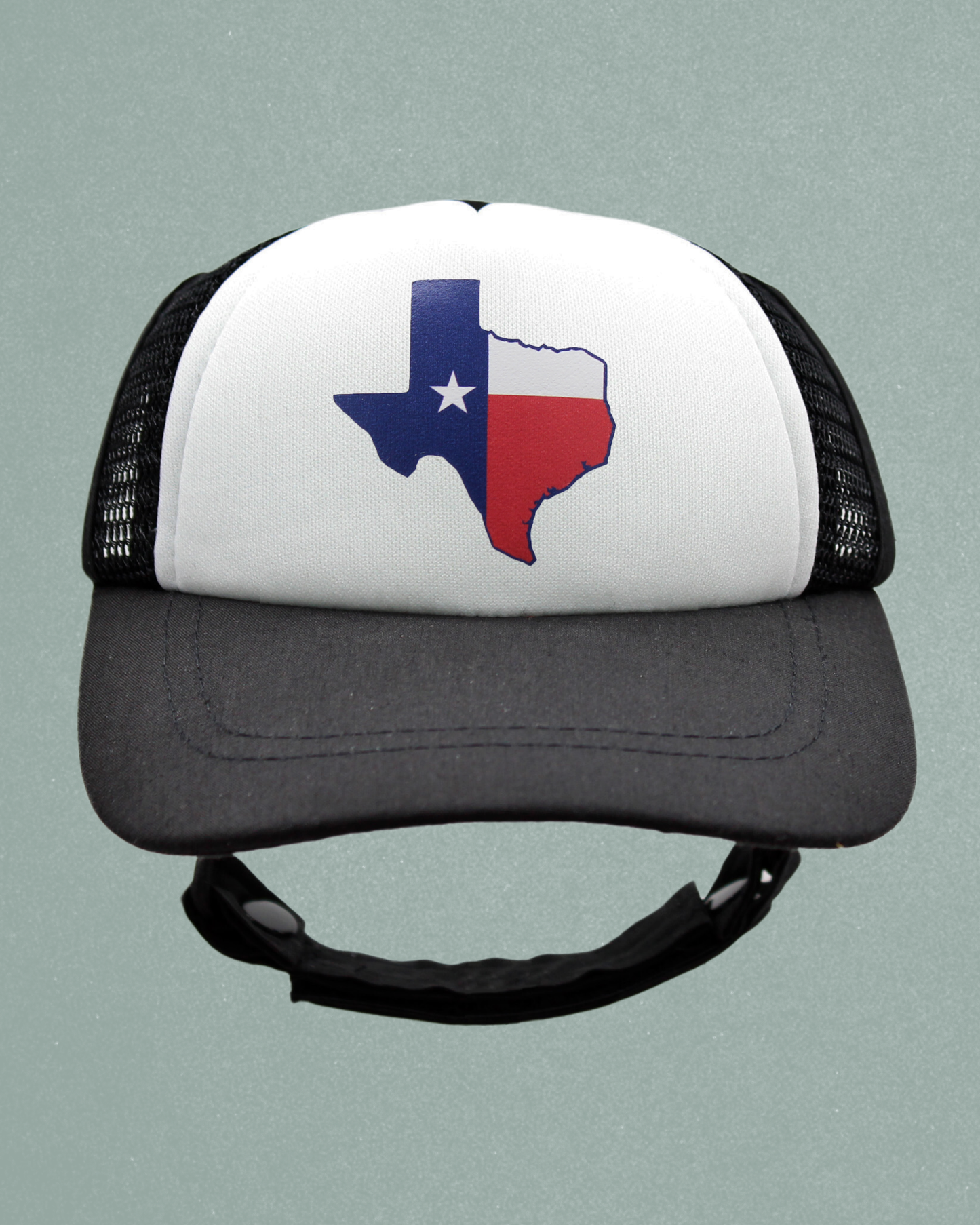 texas flag