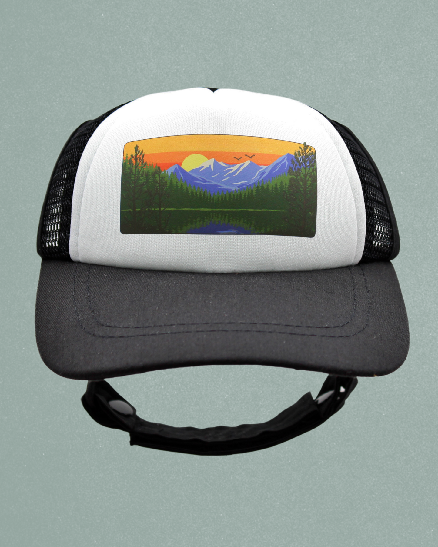 mountain lake cat hat