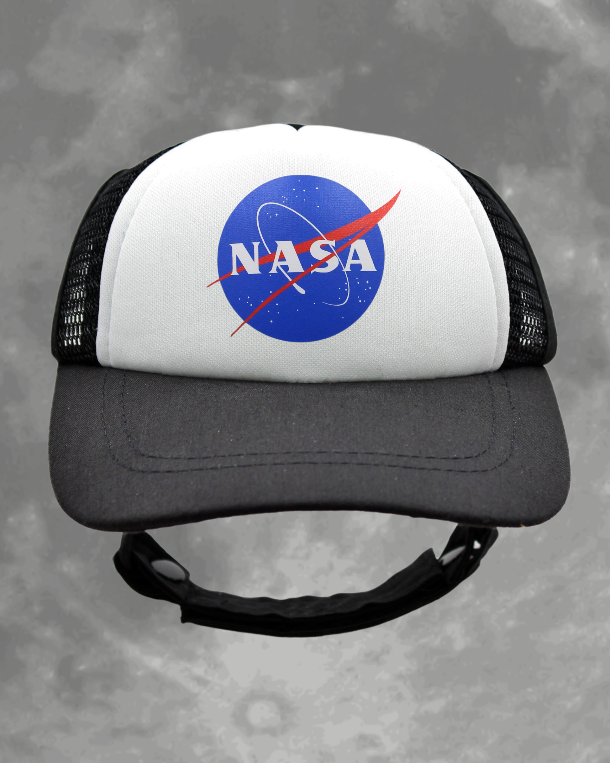 NASA meatball