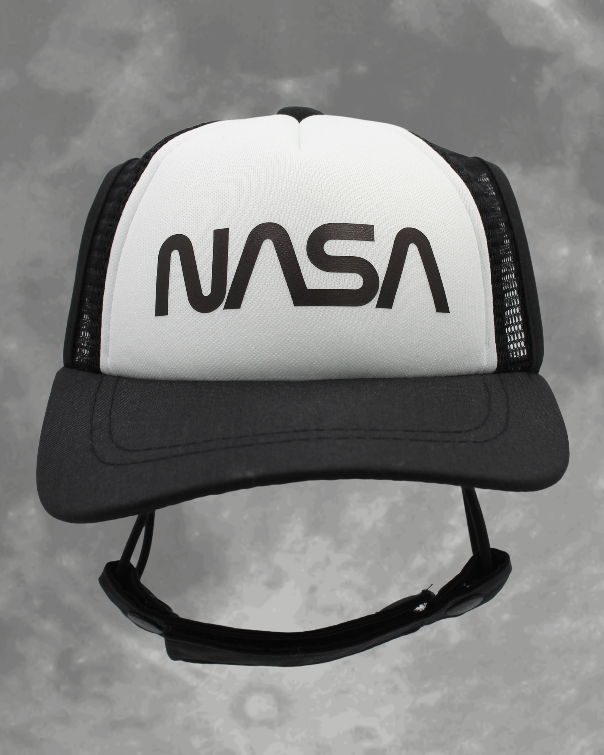 NASA worm