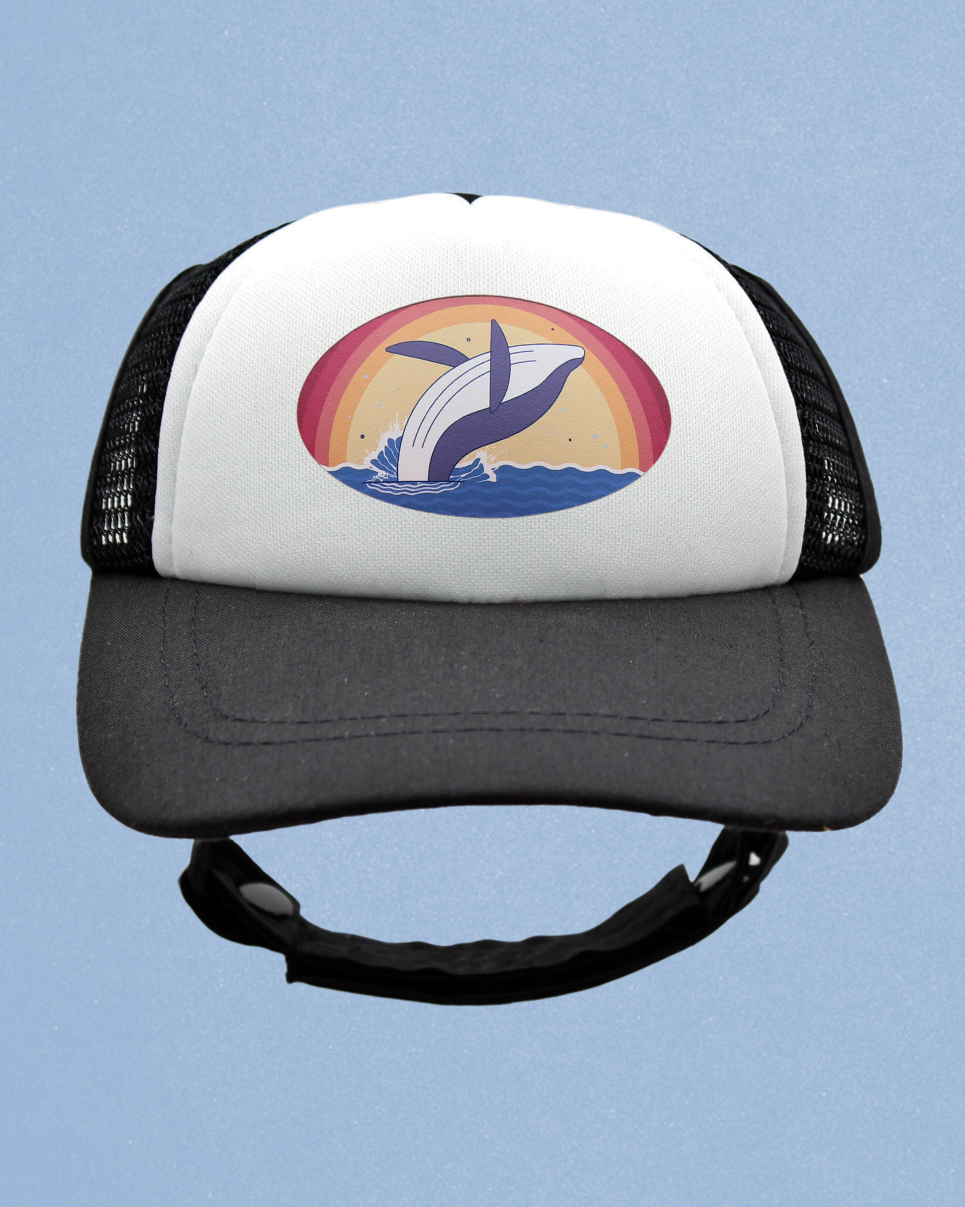 whale