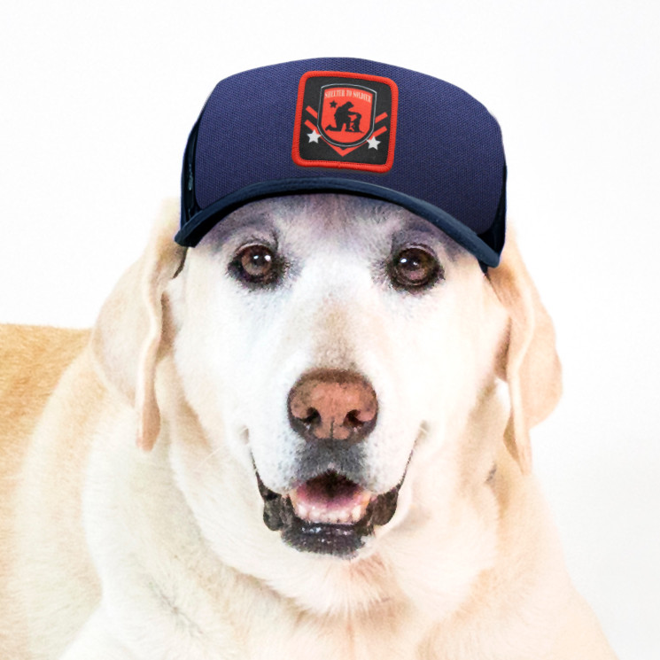 Shelter to Soldier x PupLid | Size Large Dog Hat