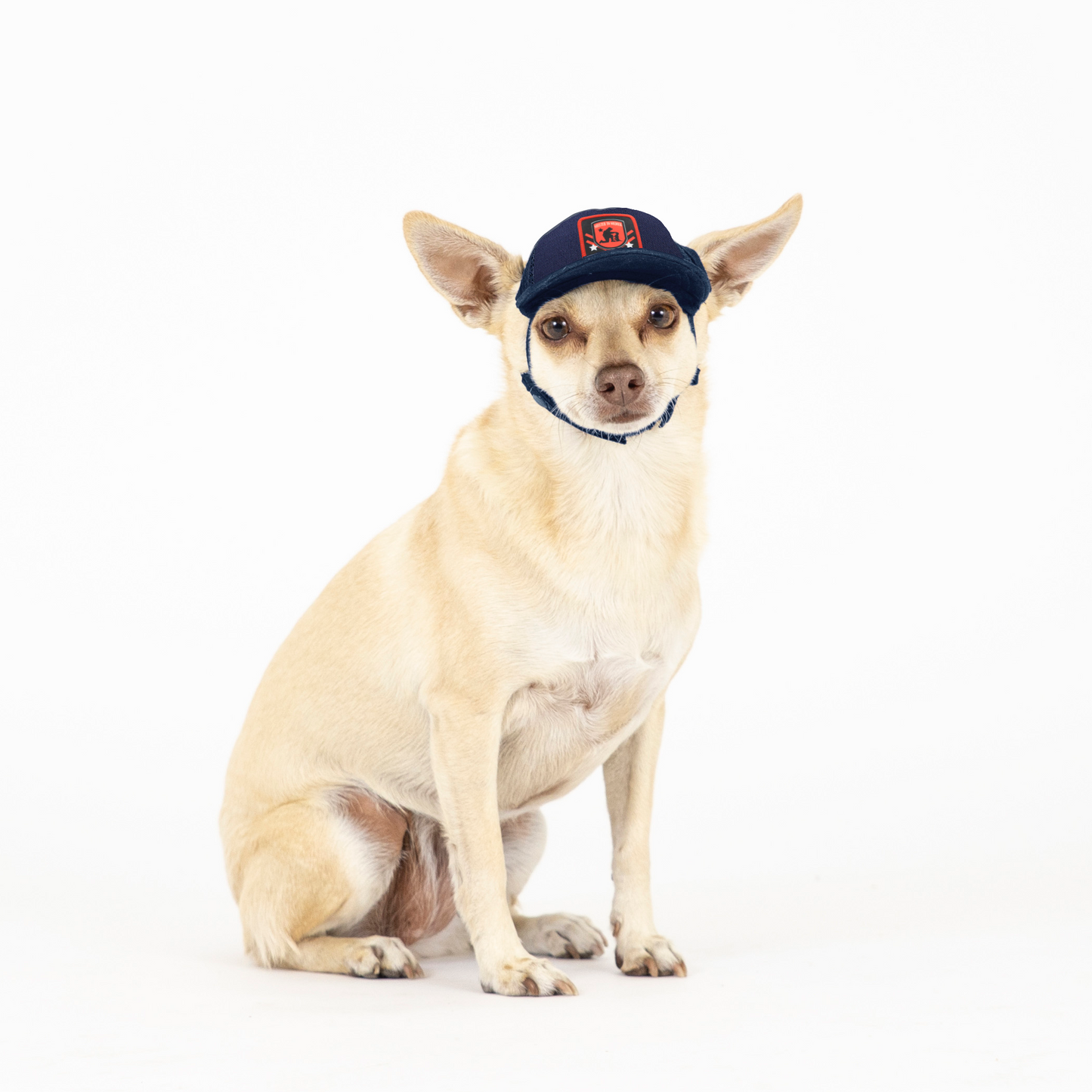 Shelter to Soldier x PupLid | Size XXS Dog Hat