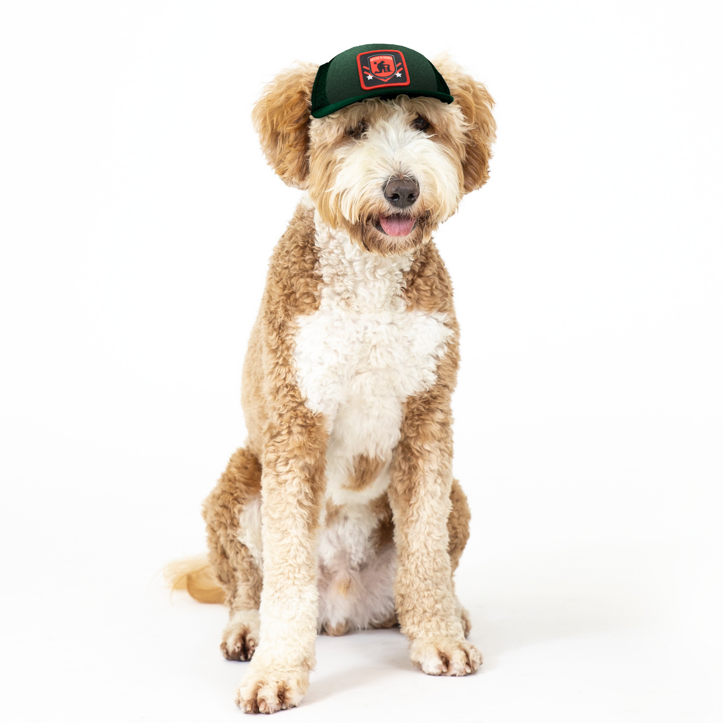Shelter to Soldier x PupLid | Size Small Dog Hat