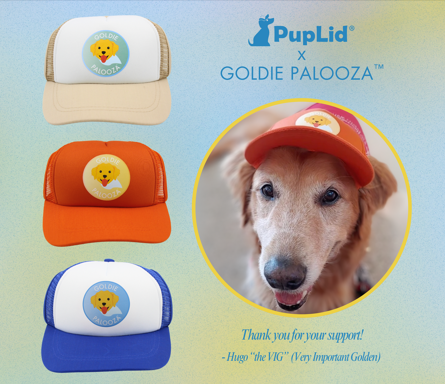Goldie Palooza - All dog sizes