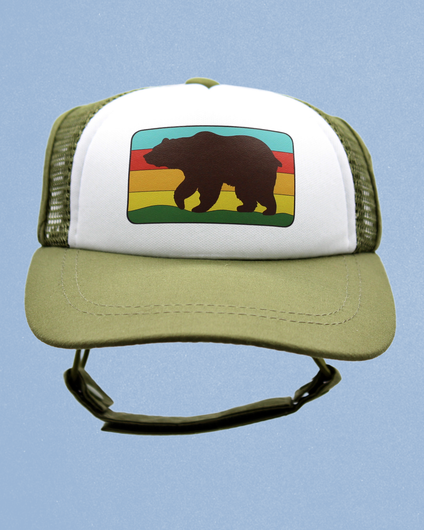 bear