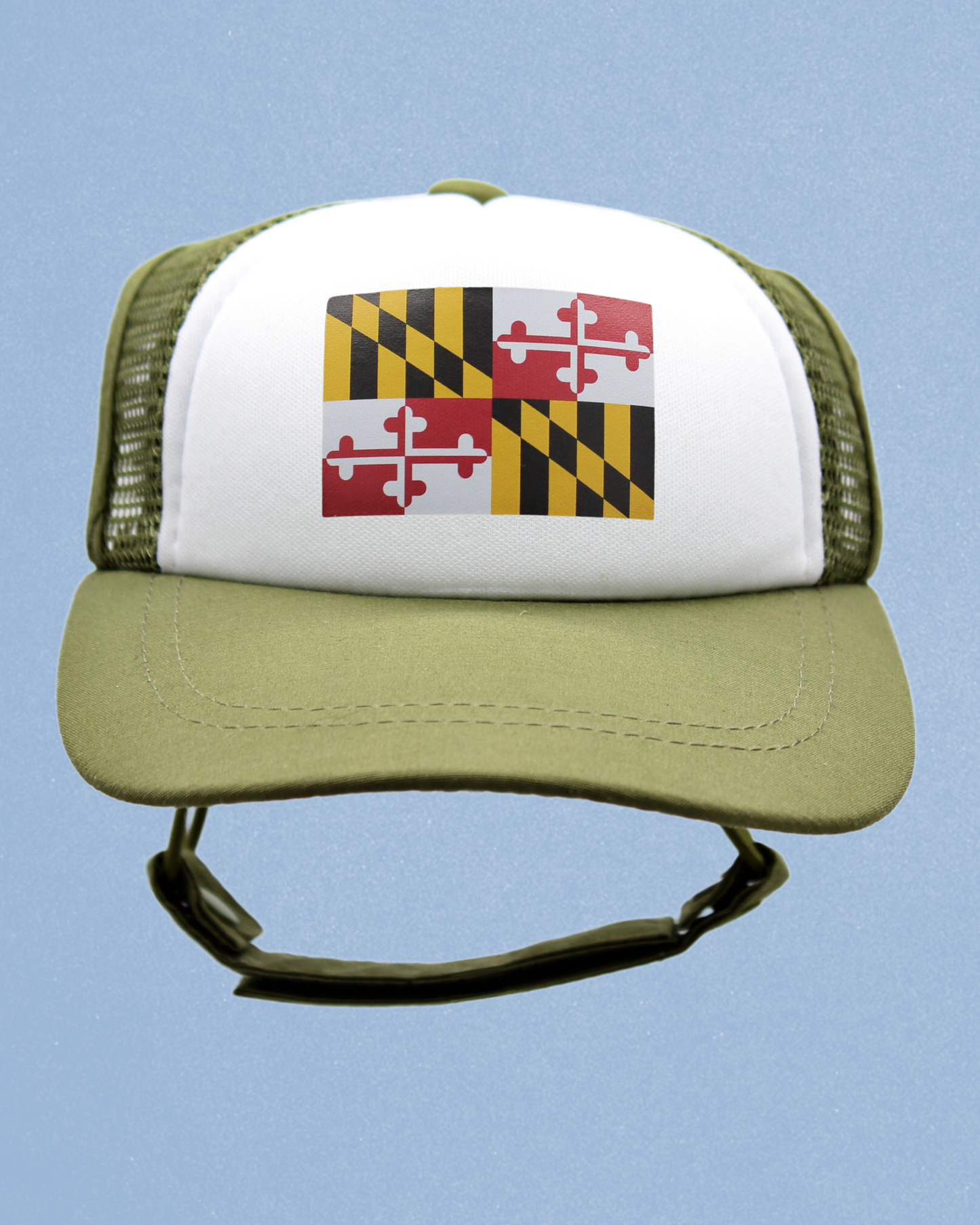maryland flag