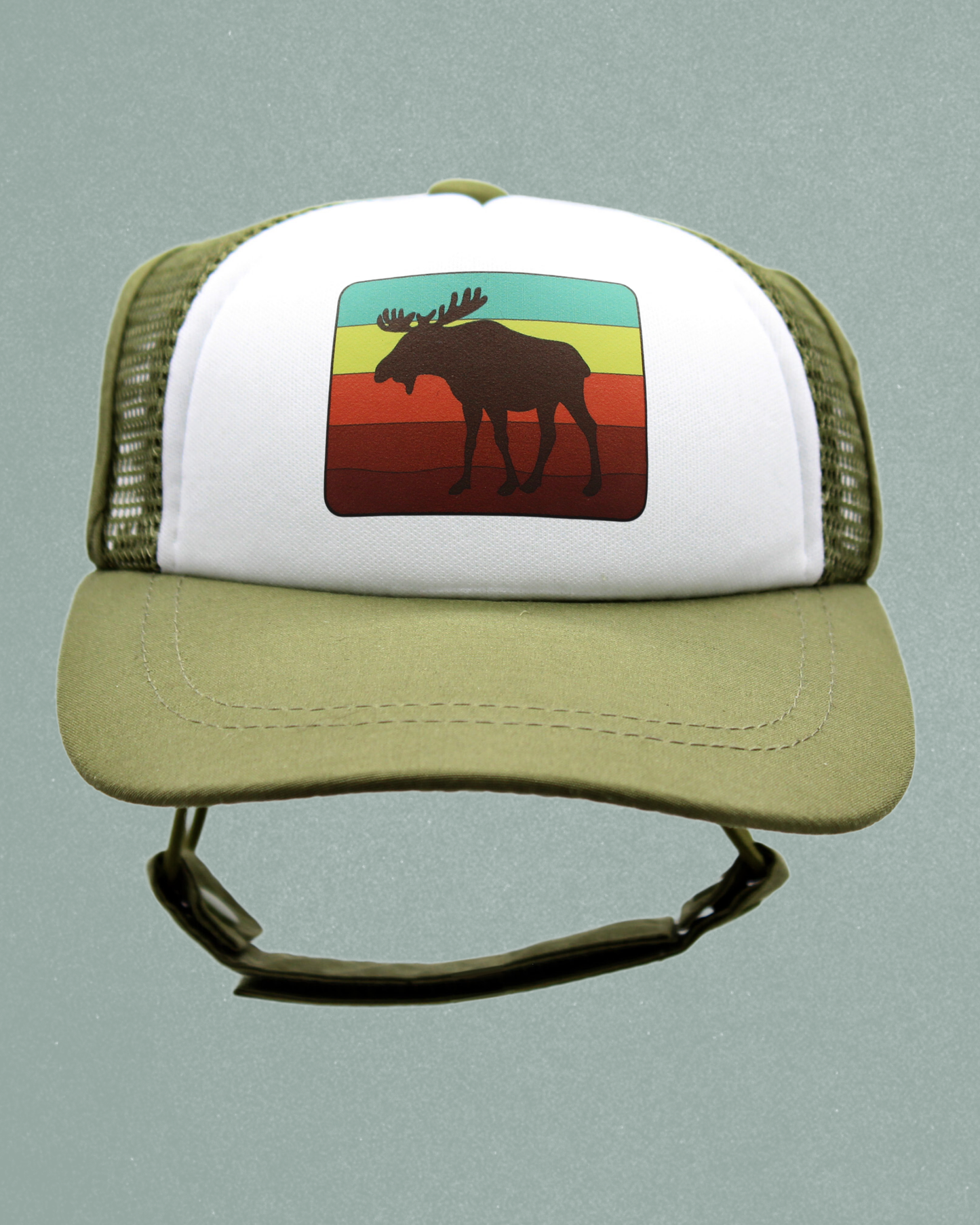 moose