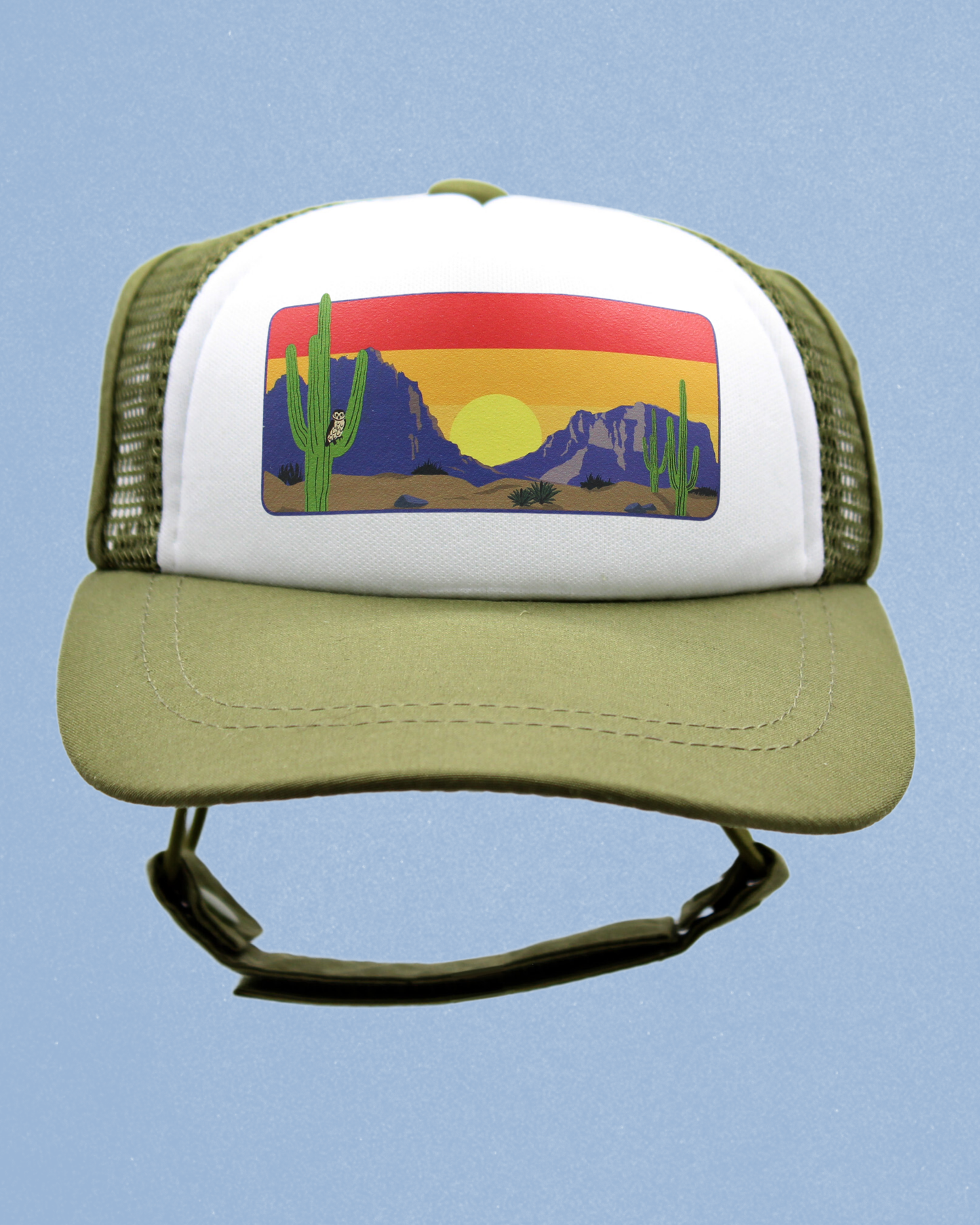 desert owl cat hat